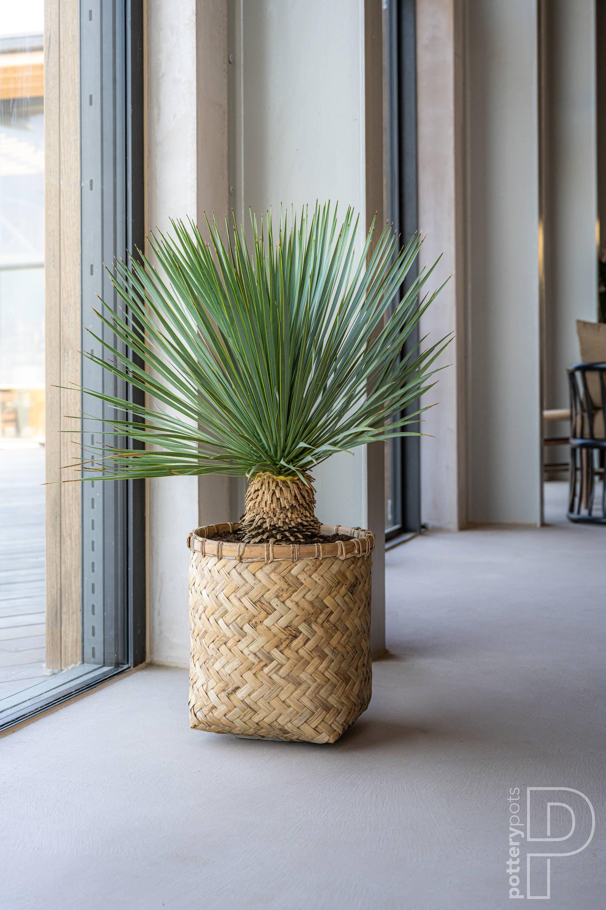 Pottery Pots USA Inc. Pottery Pots Zayn Bamboo Indoor Outdoor Round Planter, Natural Finish 18.9" x 18.9" x 20.9"