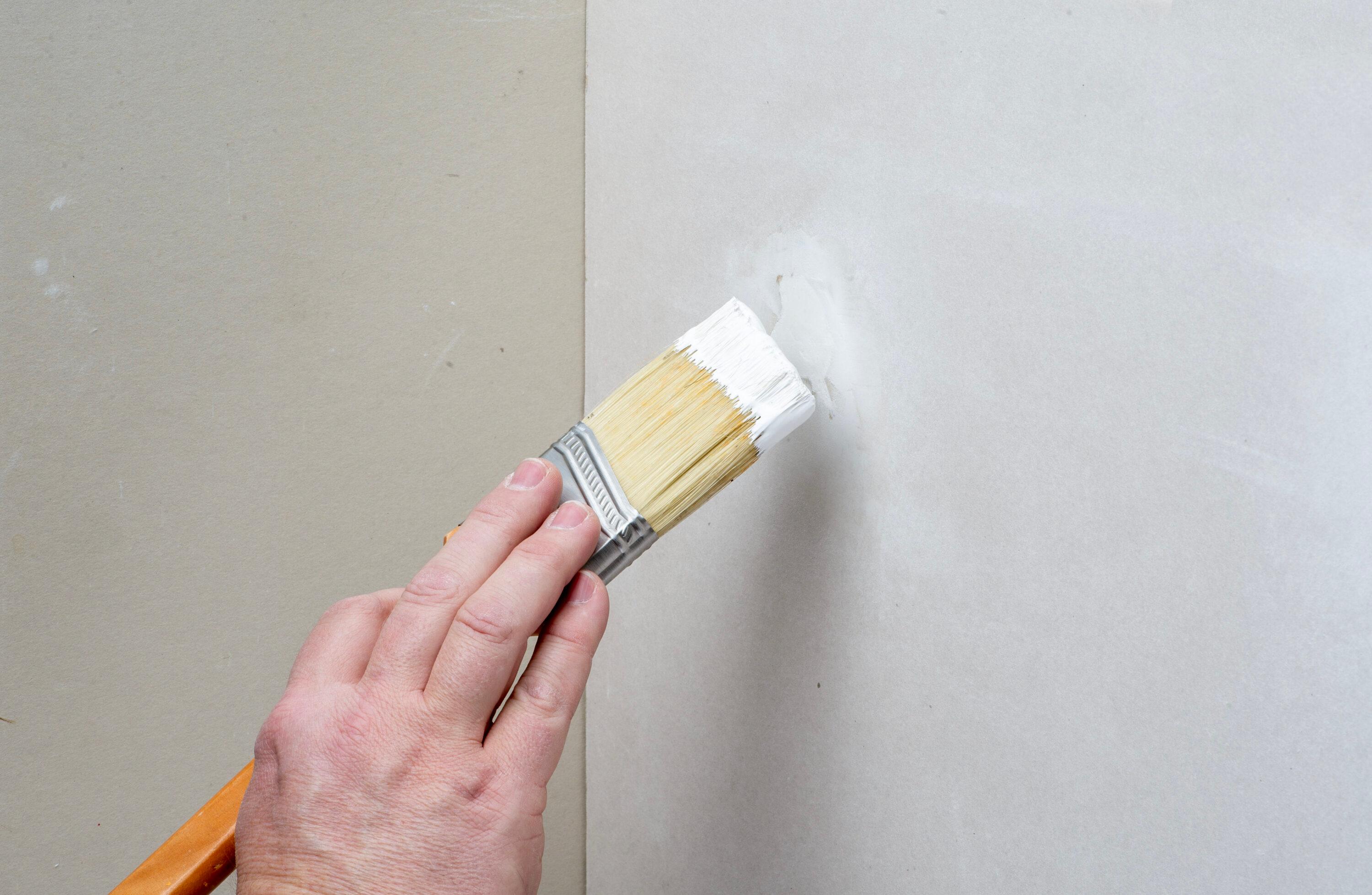 Gorilla Glue Wall Repair Kit. 4oz Spackling & Patch, 3" Putty Knife and 220 Grit Sanding Block Color