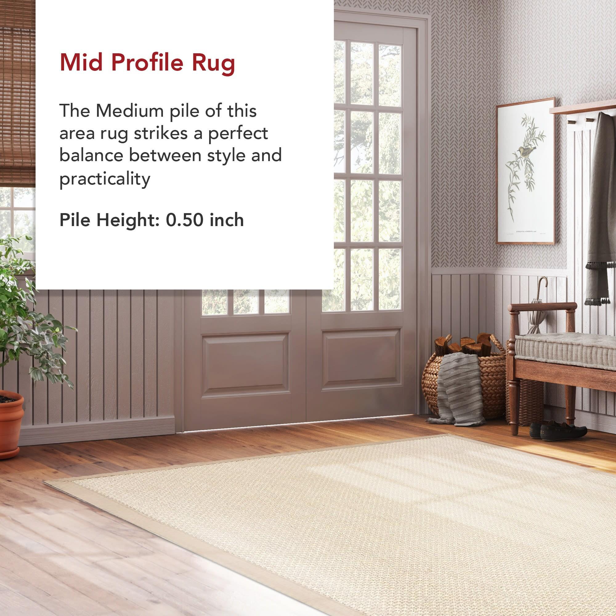 Proper Sisal and Wool Tan Area Rug