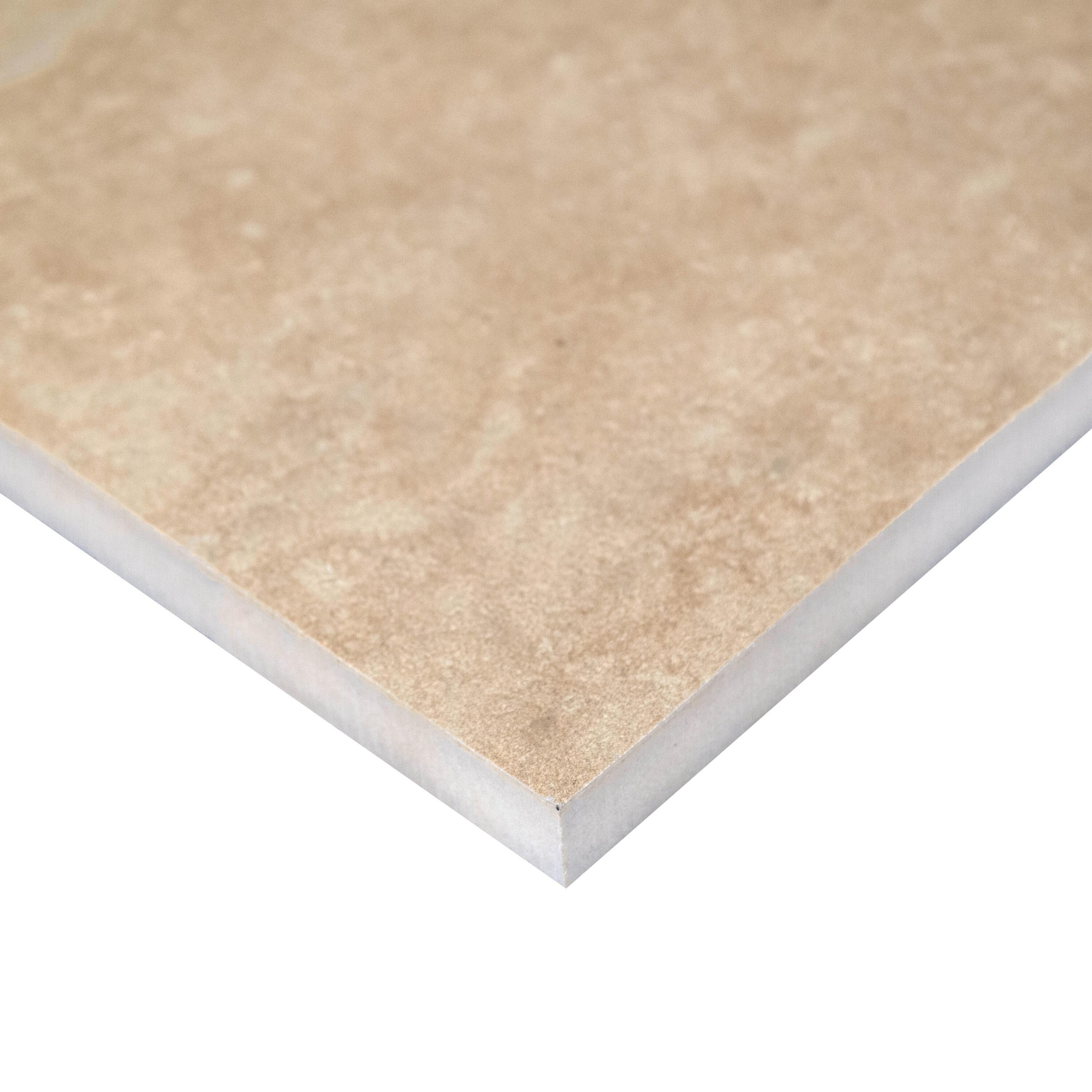 Ackland Duravia 24 in. x 24 in. x 0.79 in. Matte Porcelain Stone Look Paver (8 sq. ft./unit, 2 Pieces)