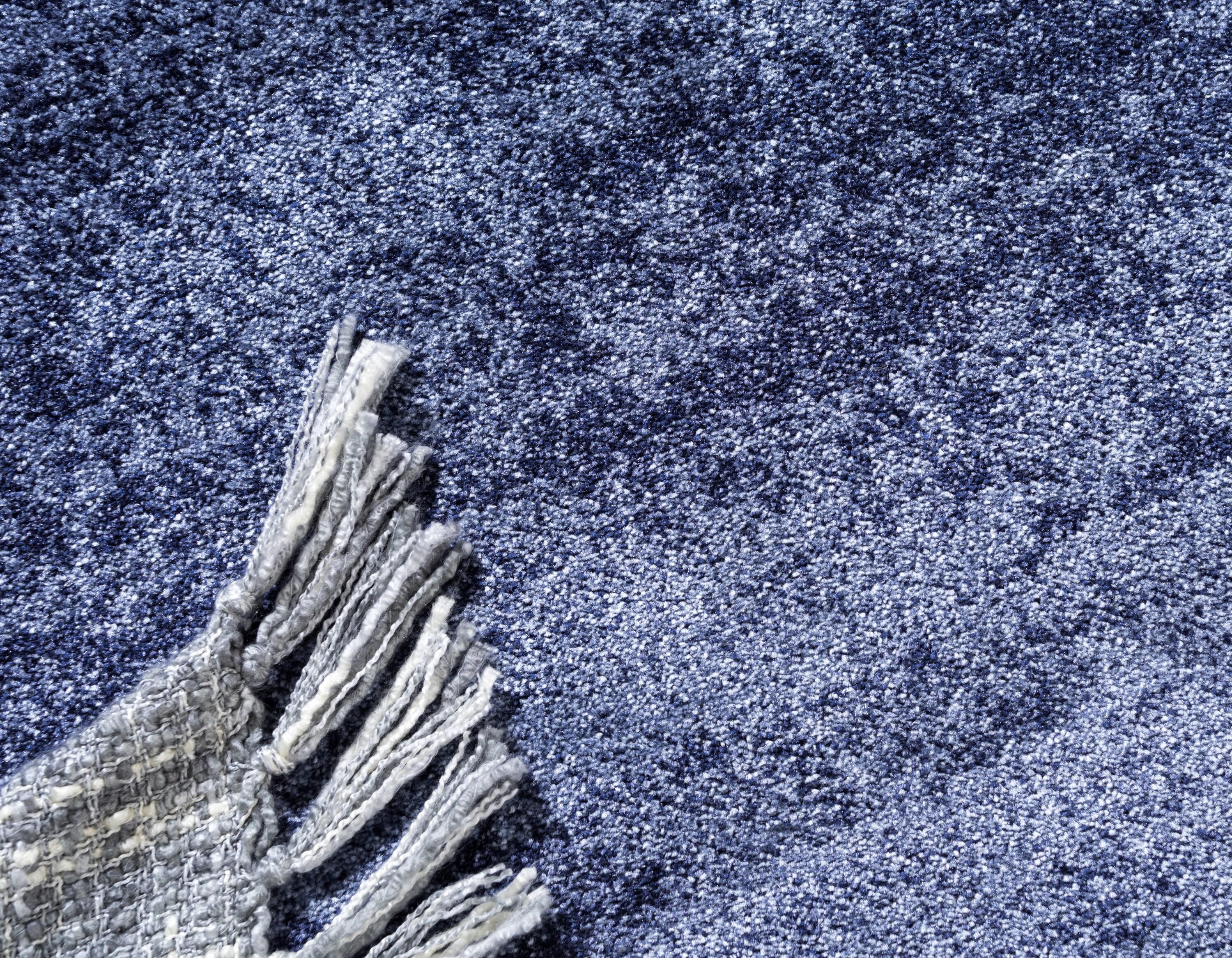 Unique Loom Del Mar Collection Area Rug - Lucille (7' 1" x 10' Rectangle Navy Blue/Ivory)