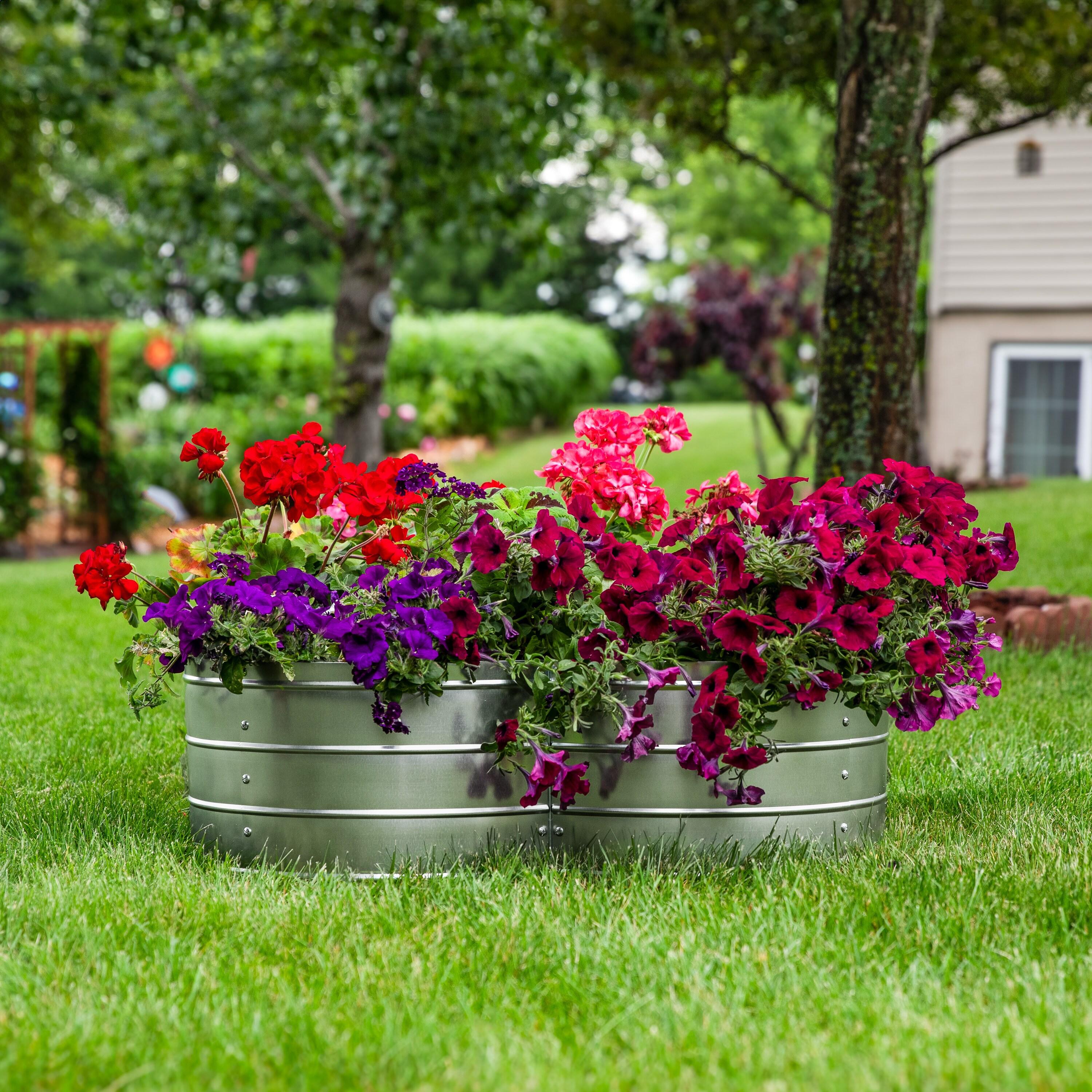 Arlmont & Co. Rotisha Outdoor 4-Leaf Clover Galvanized Steel Raised Garden Bed