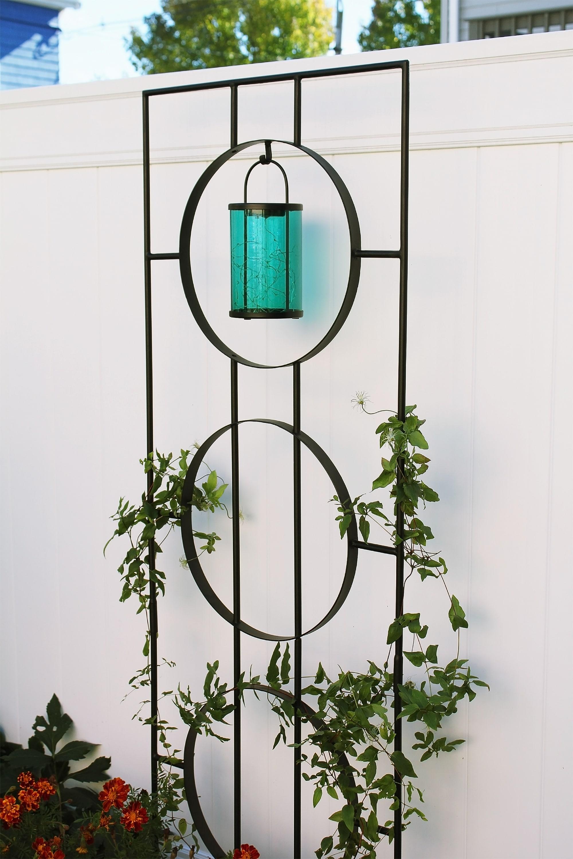 Theodora Trellis