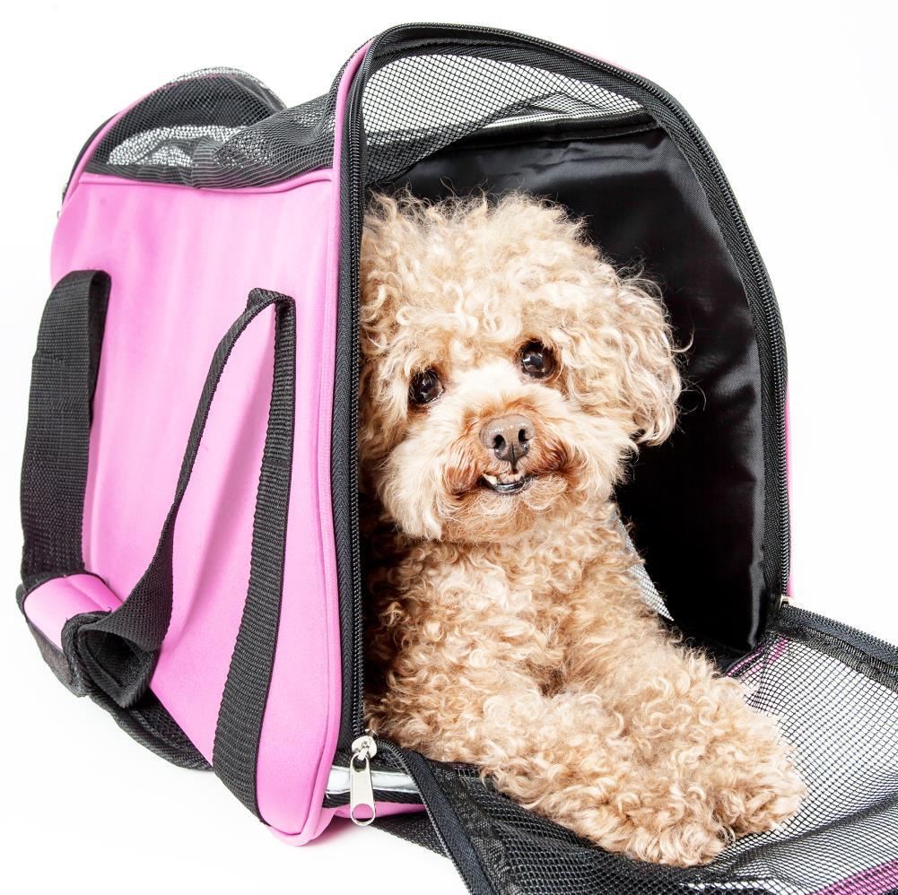 Pet Life Pet Life Airline Approved Altitude Force Sporty Zippered Fashion Pet Carrier
