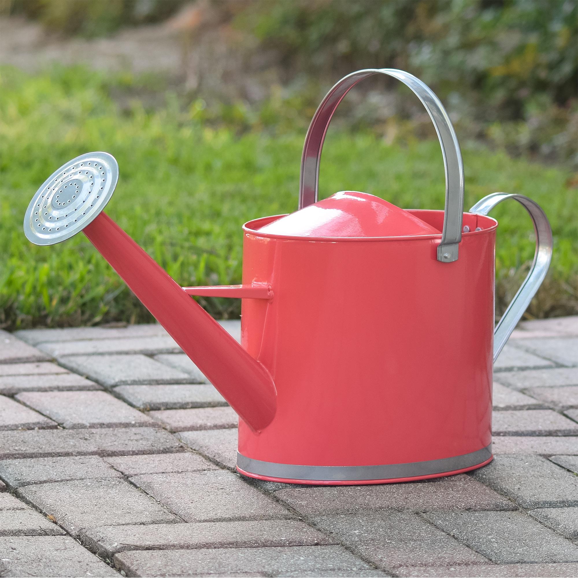 Coral Metal 1.8-Gallon Watering Can with Silver Handles