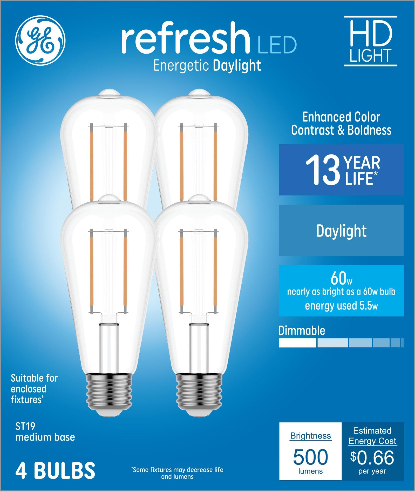 GE Refresh HD 60-Watt EQ ST19 Daylight Medium Base (e-26) Dimmable LED Decorative Light Bulb (4-Pack) Item #4977789 Model #9313022
