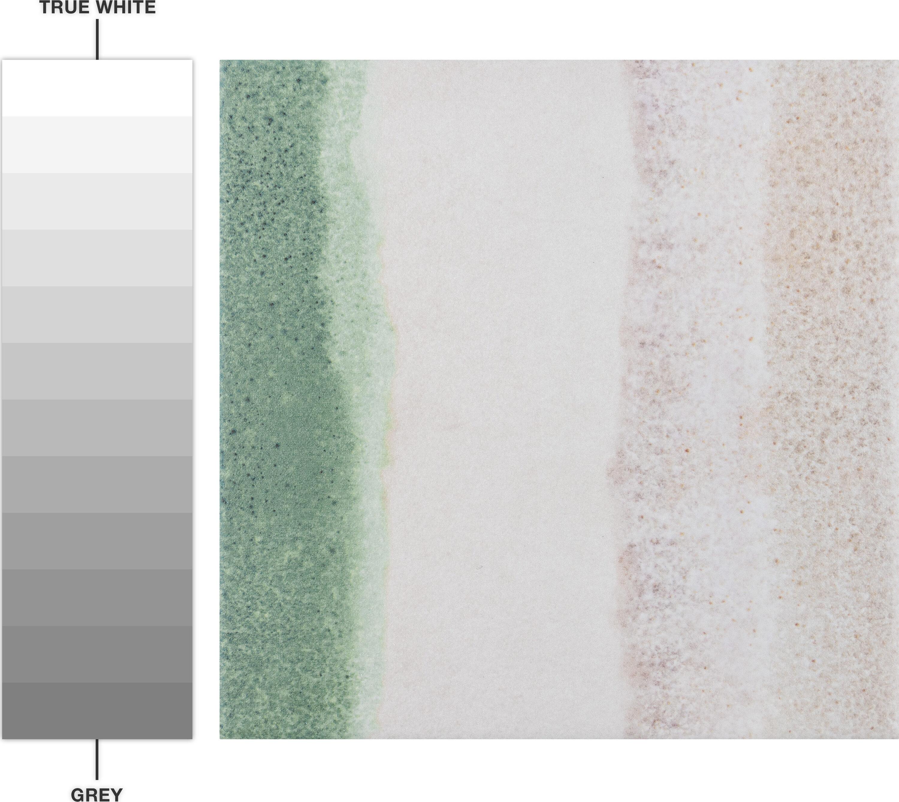 Matter Canvas 6" x 6" Porcelain Stone Look Floor and Wall Tile