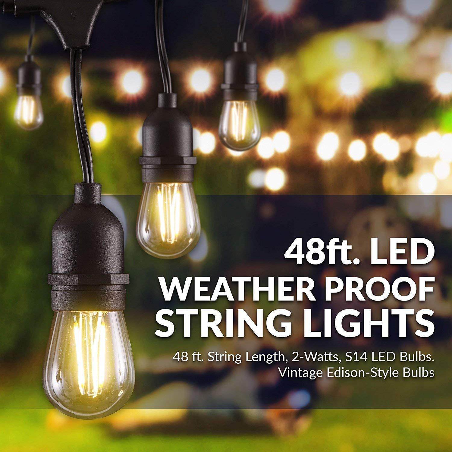 Newhouse Lighting LED String Lights with Weatherproof Technology, Dimmable with Wireless Remote Control, 48ft and 16 (15+1 free) LED Light Bulbs Included, Black (CSTRINGLEDDIM)
