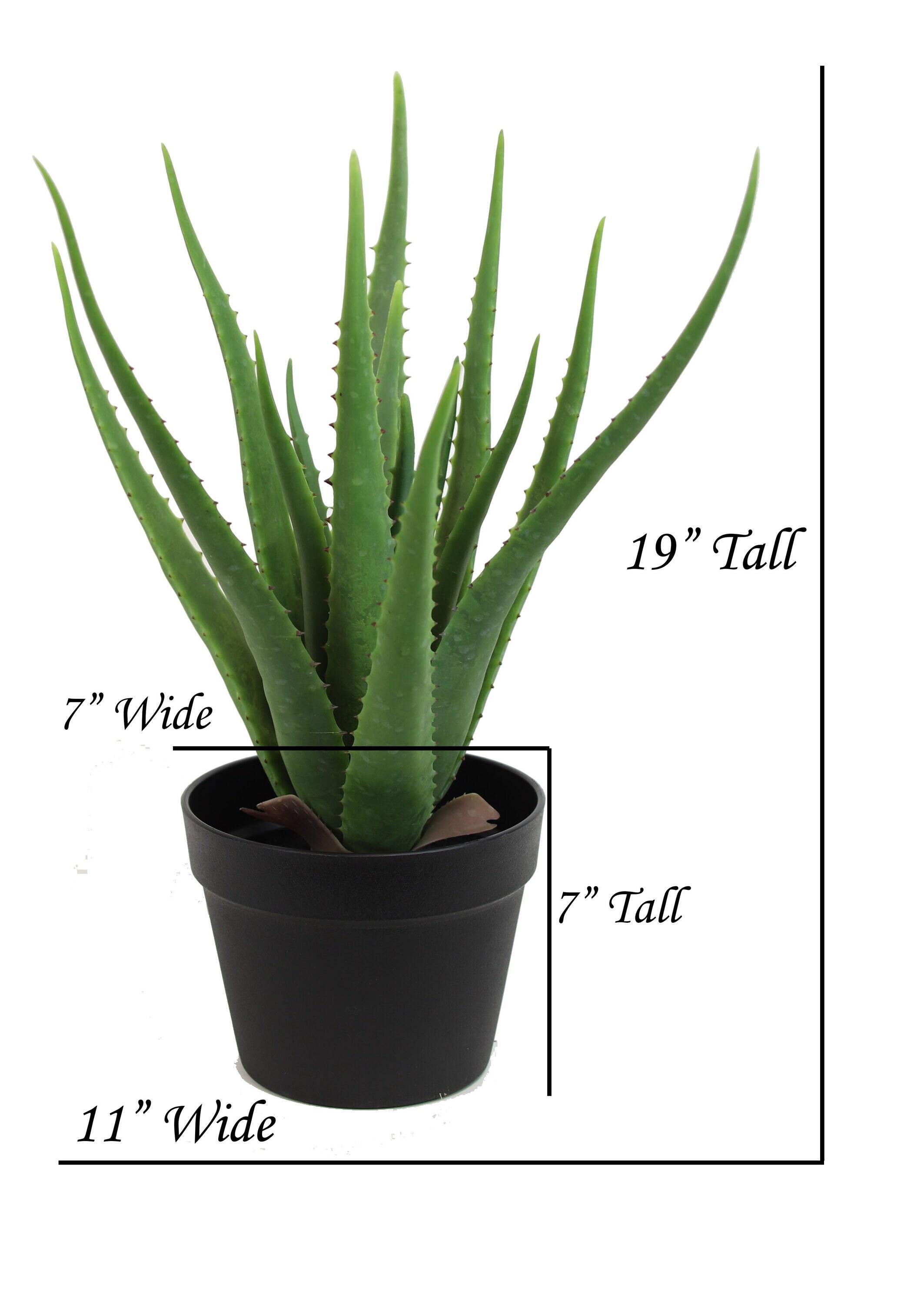 The Mod Greenhouse 19" Artificial Green Aloe Vera Plant in a Matte Black Grower's Pot
