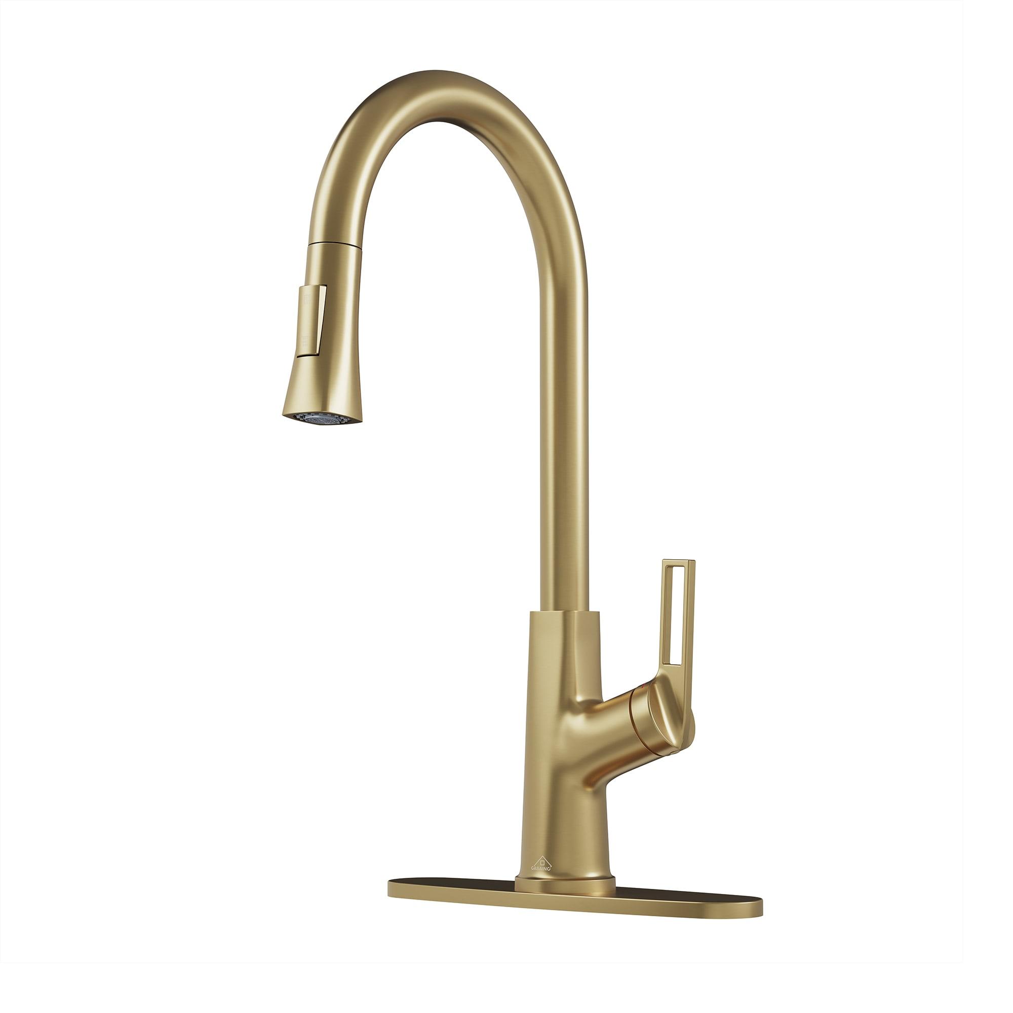 CASAINC CASAINC Single-Handle Pull-Down Kitchen Faucet Single Hole Faucet CA-D4171-BG