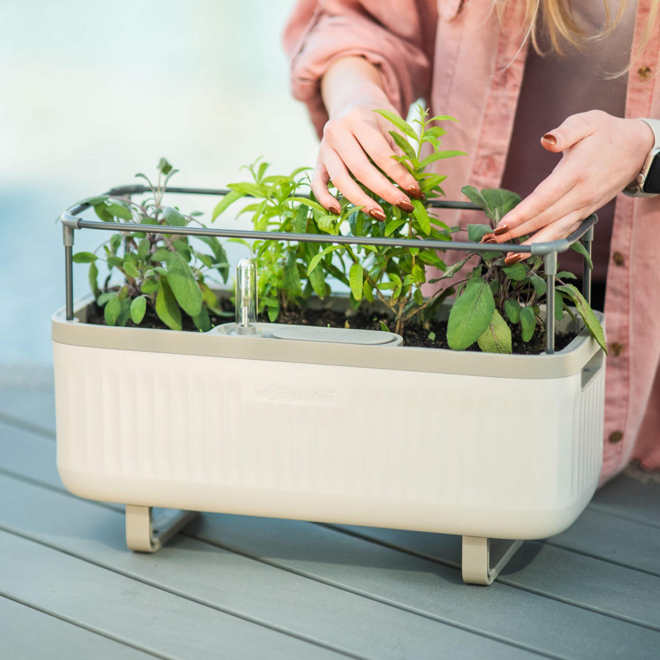 Vego Garden Mini Herb Plastic Outdoor Pot Planter with Trellis