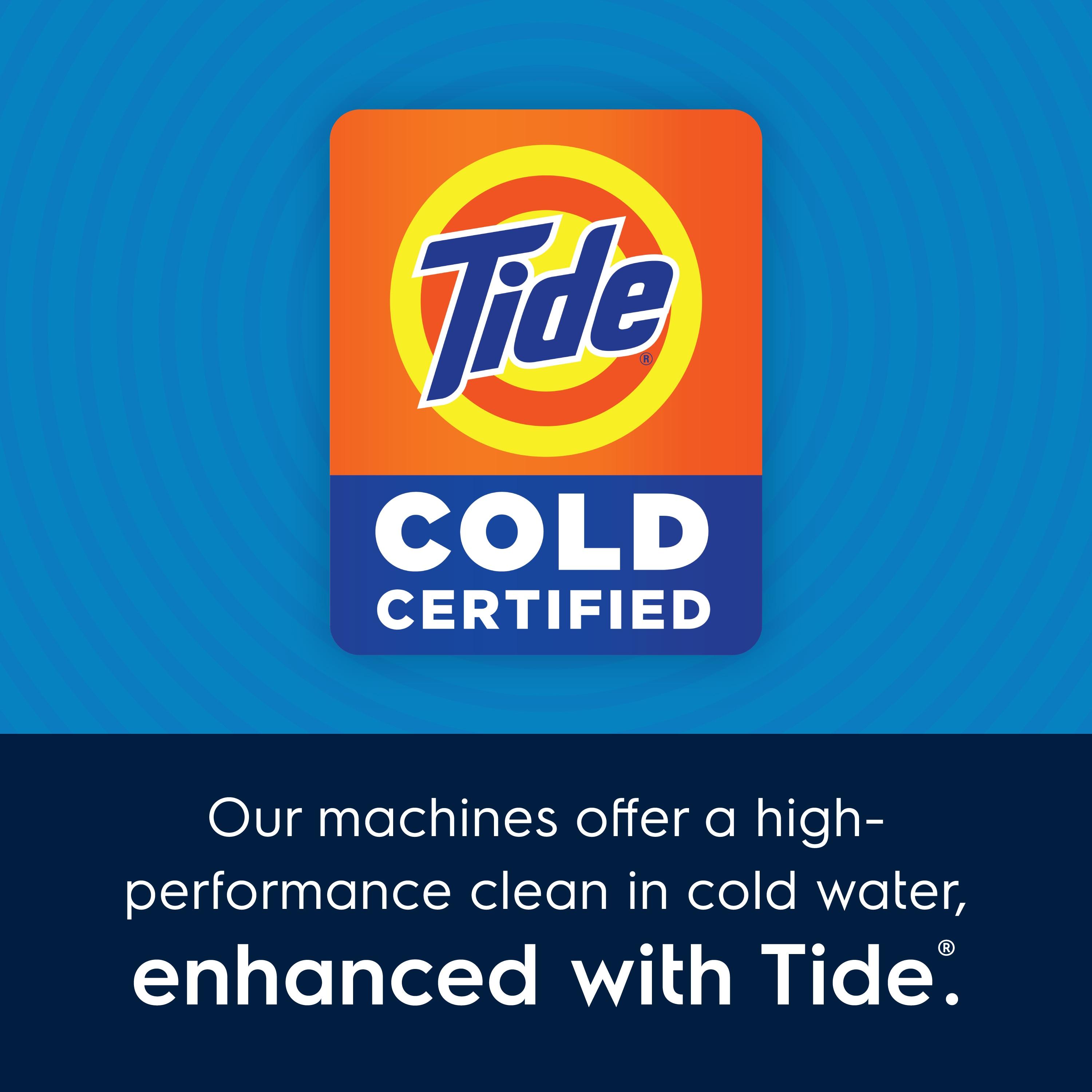 Electrolux 4.5 cu ft Titanium Electric Dryer