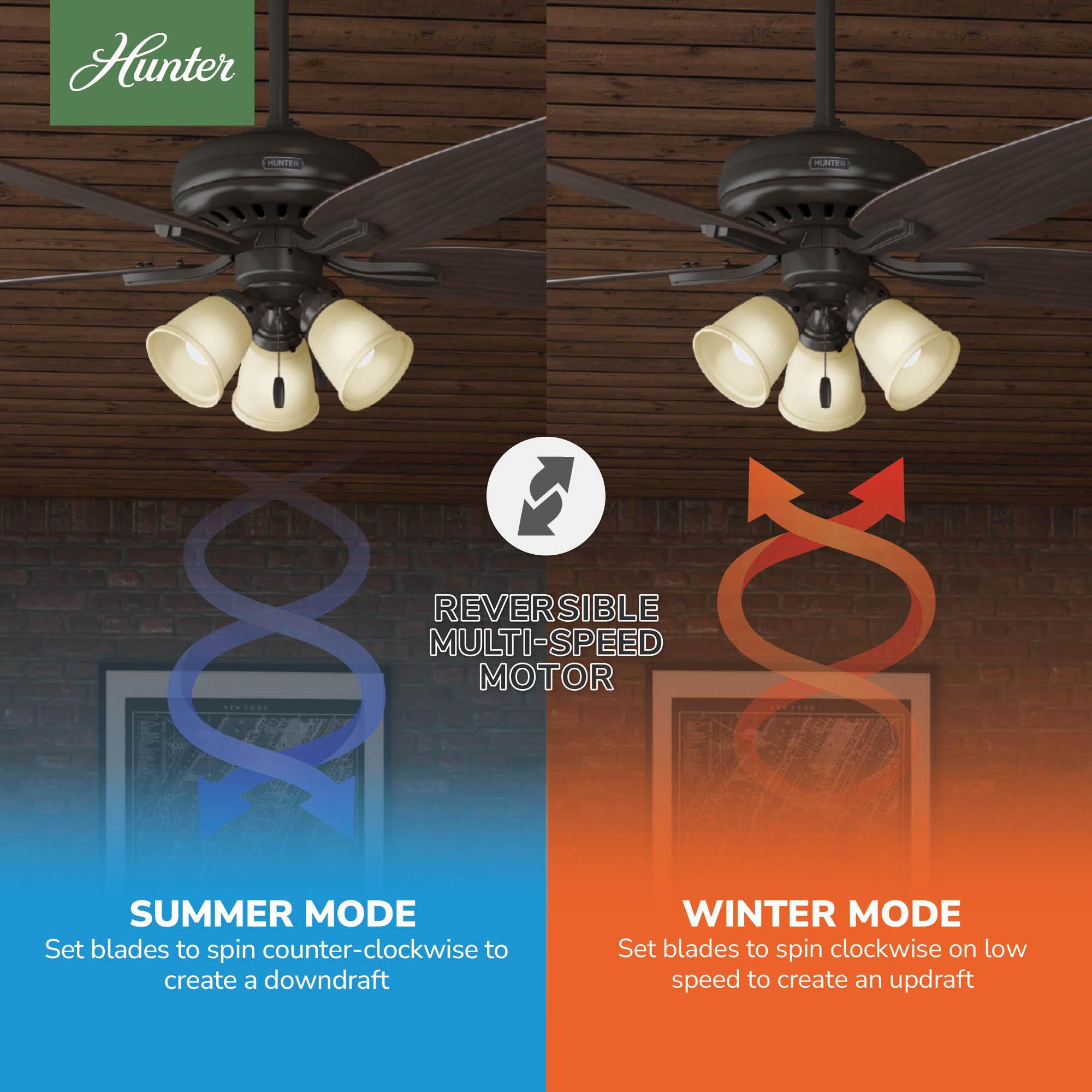 52" Newsome 5 - Blade Standard Ceiling Fan with Pull Chain and Light Kit Included