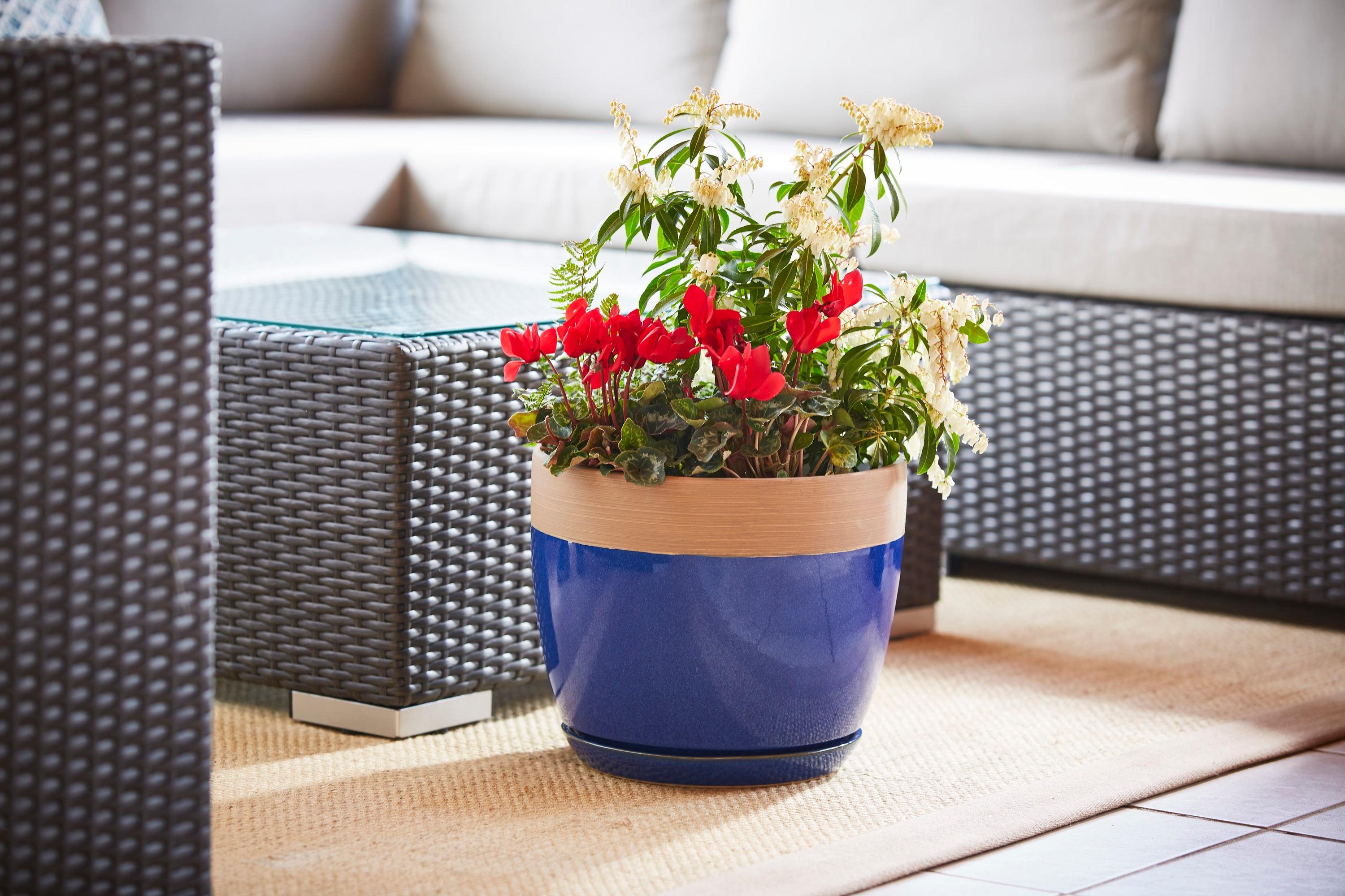 Southern Patio 12" Ana Planter in Navy Finish - Southern Patio