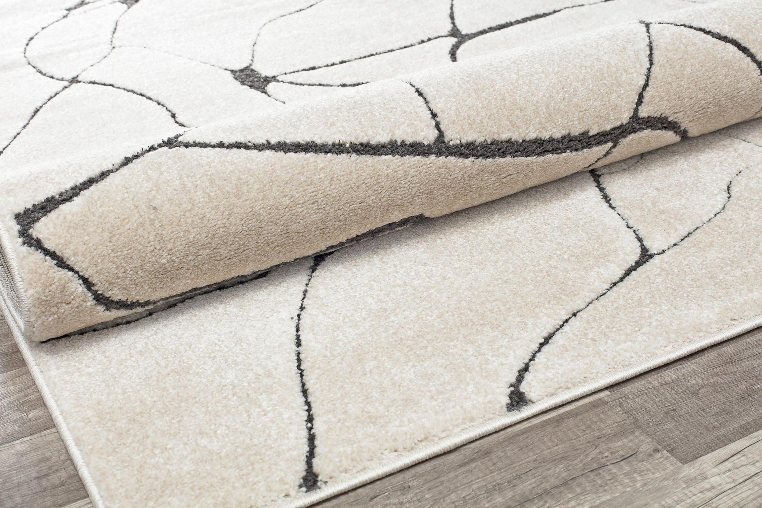 Cadence Contemporary Marble Area Rug