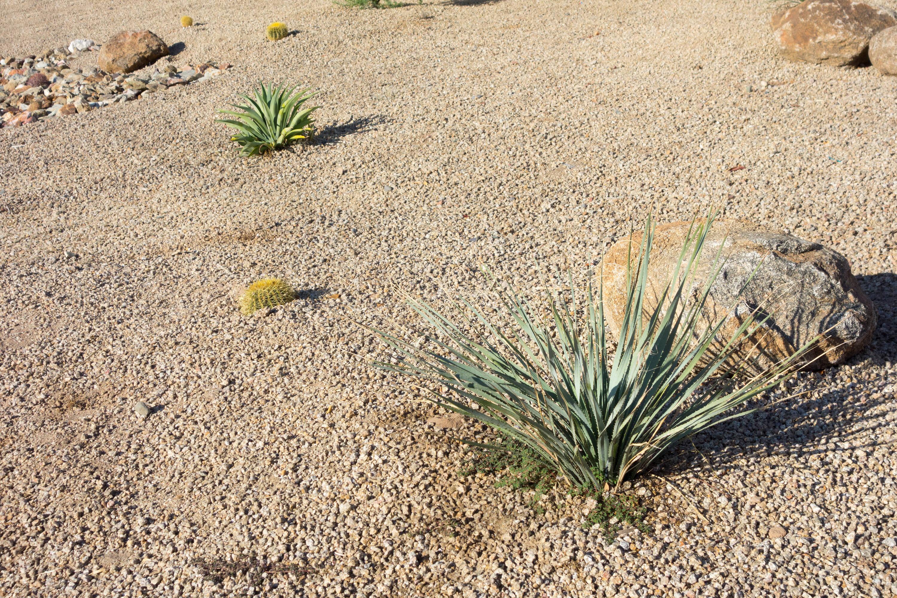 Decomposed Granite, Crushed Gravel DG Pathway Fines for Patio & Landscape