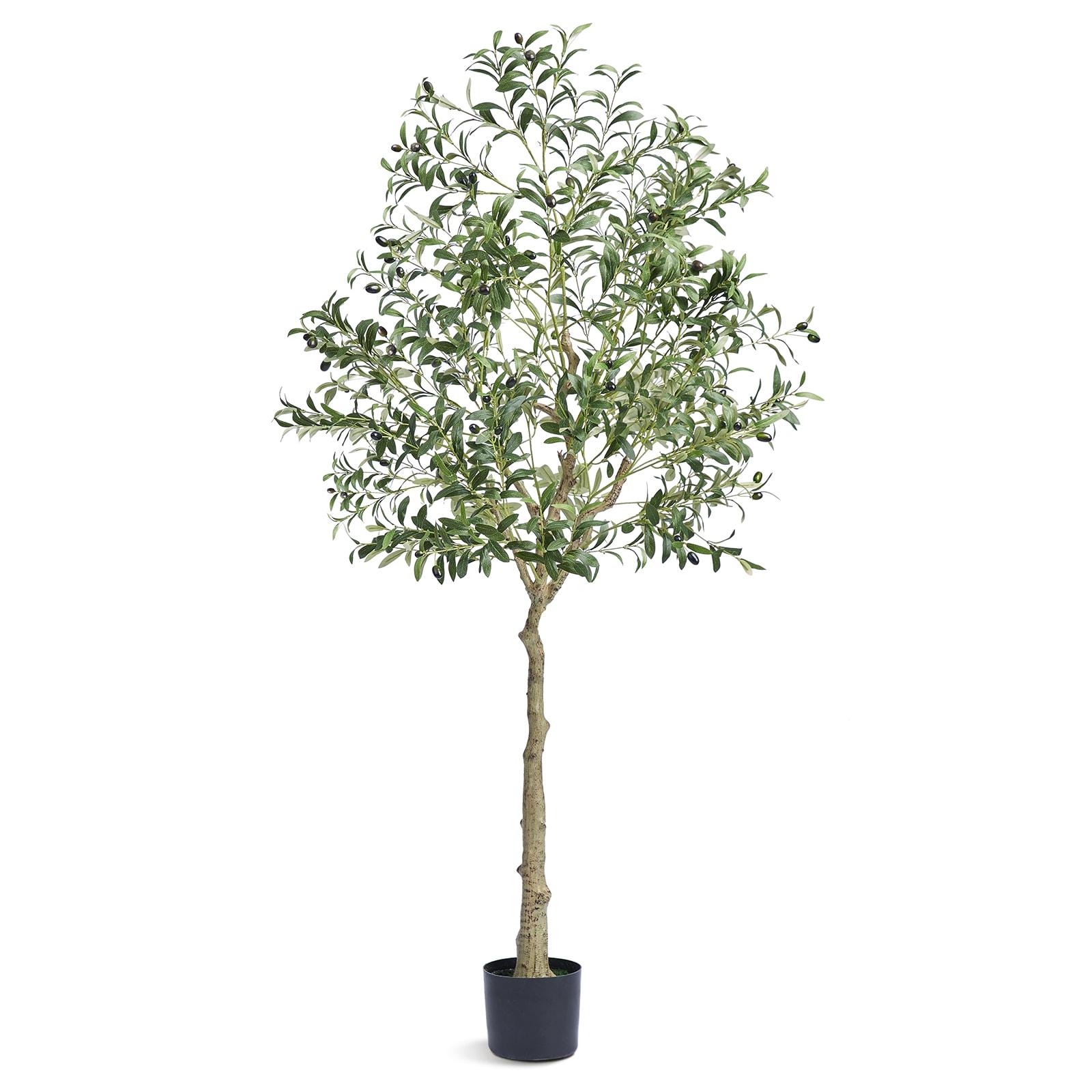 6 ft. Artificial Olive Tree Secure PE Material and Anti-Tip Tilt Protection Low-Maintenance Plant