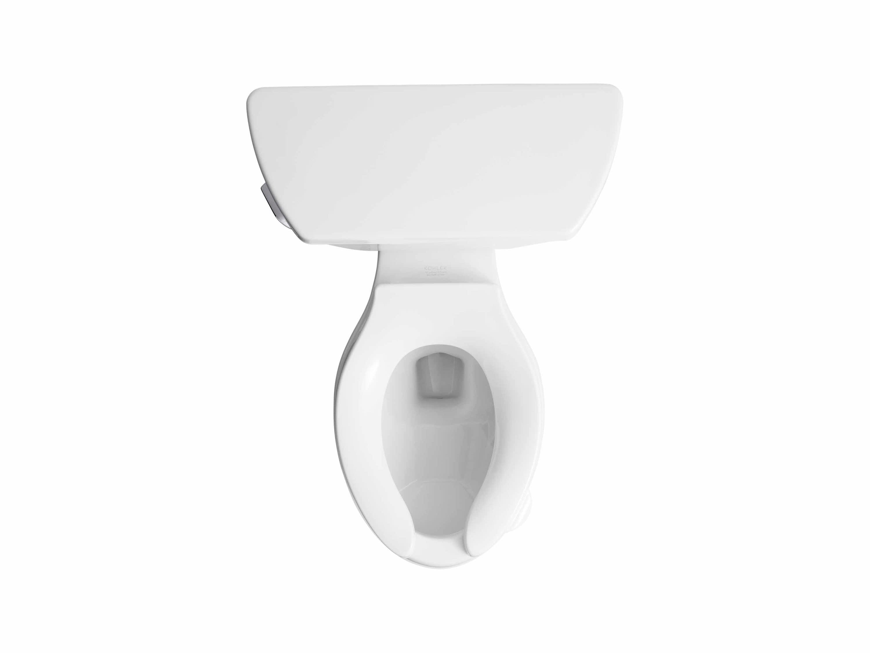 Wellworth Classic Two-Piece Elongated 1.0 GPF Toilet with Pressure Lite Flushing Technology, Less Seat