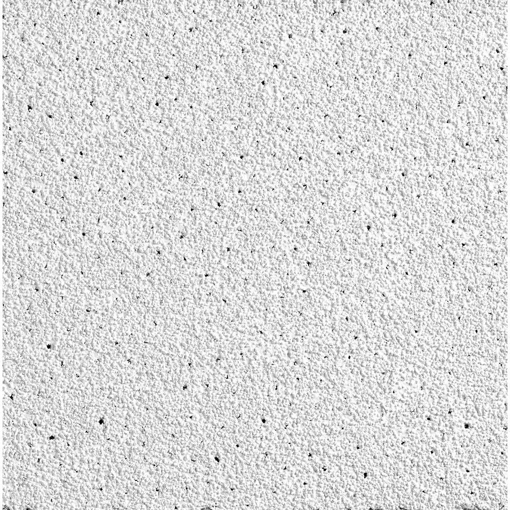 Armstrong Ceiling Tile,48 in L,24 in W,PK8 1777B