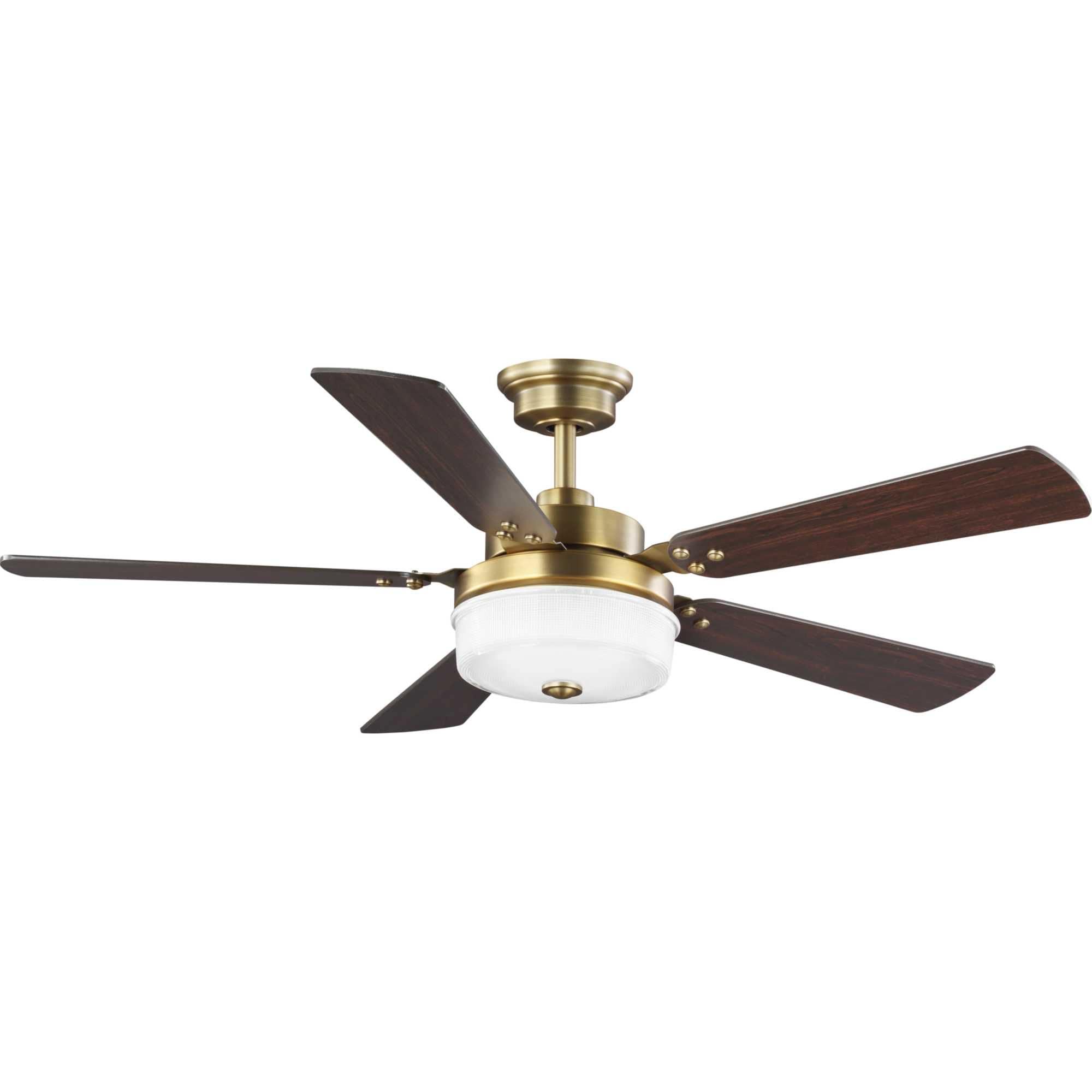 Progress Lighting Tempt 52 Tempt 52" 5 Blade Led Indoor Ceiling Fan - Brass