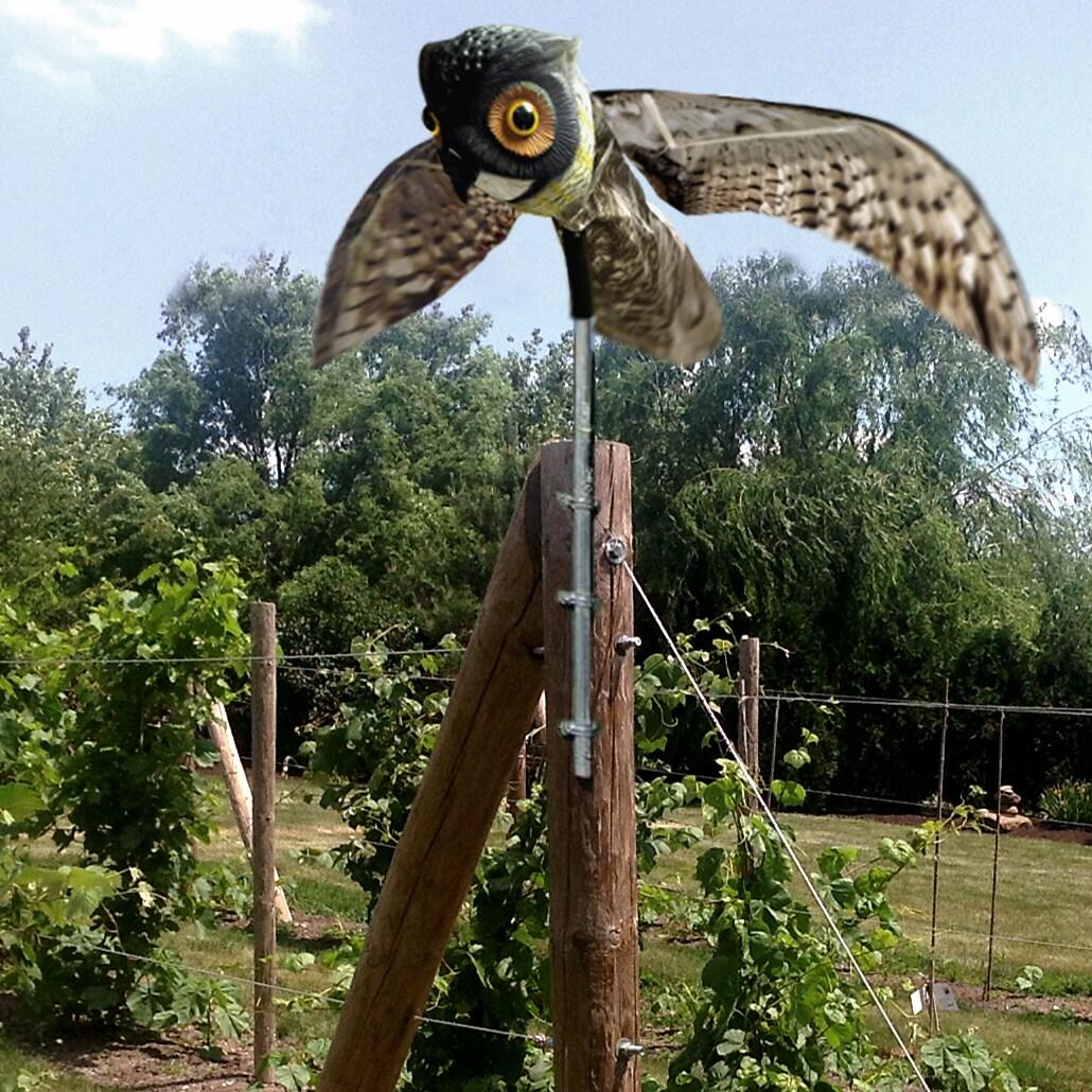 Prowler Owl Decoy - Bird-X: Outdoor Rodent Deterrent, Pest Control Barrier, No Assembly Required
