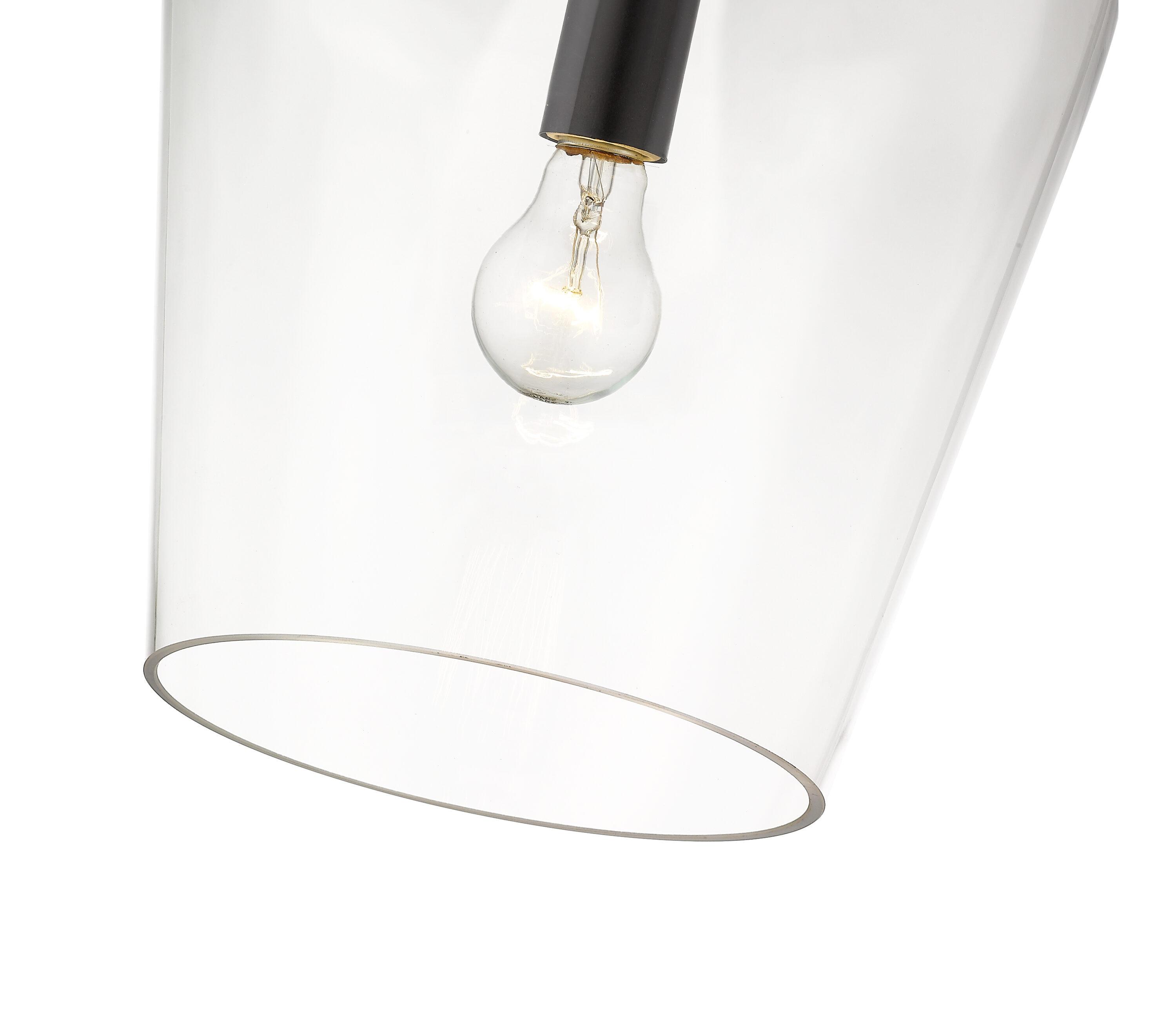 Z-Lite Joliet 1 - Light Pendant in  Matte Black