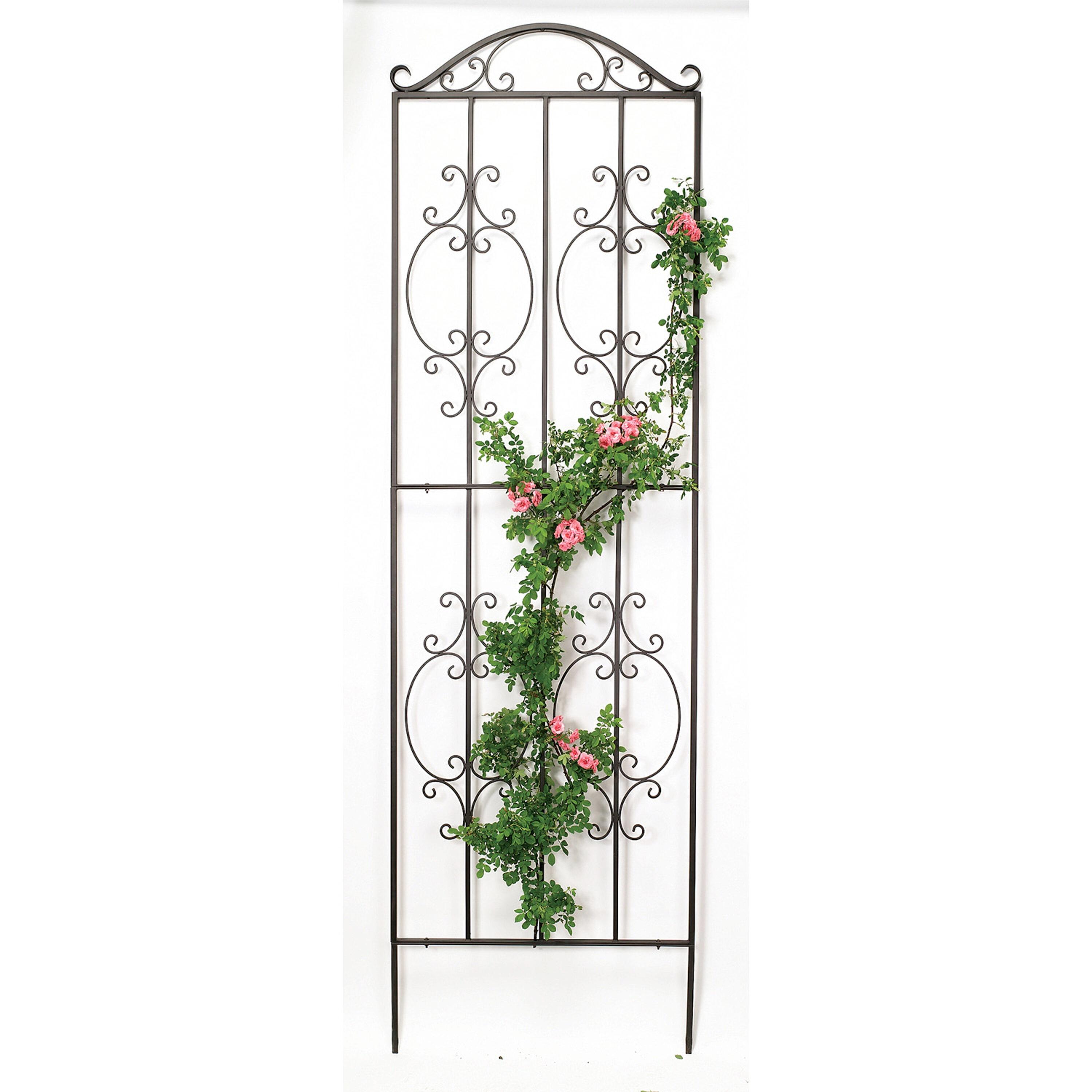 Plow & Hearth Montebello 109'' H x 32'' W Iron Gothic Trellis