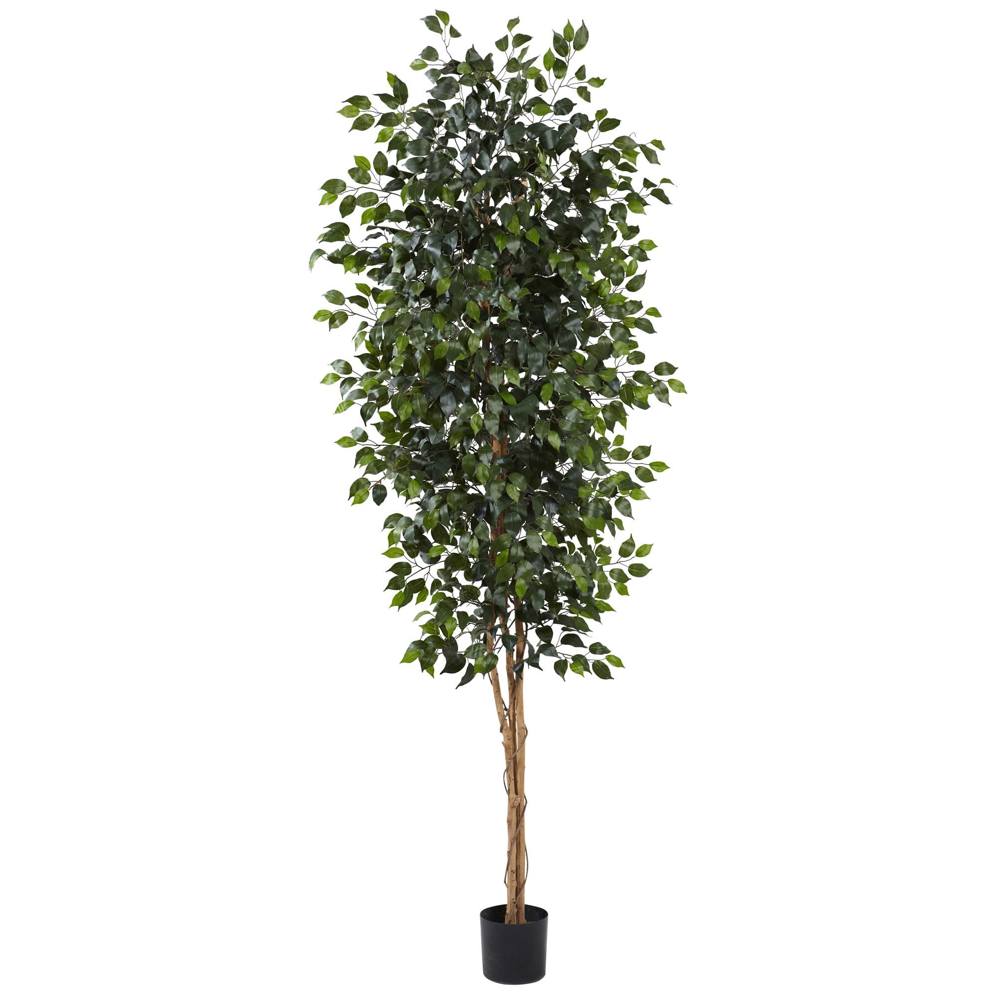 96" Artificial Ficus Tree in Pot Black - Nearly Natural: Indoor, Unlit, No Assembly Required