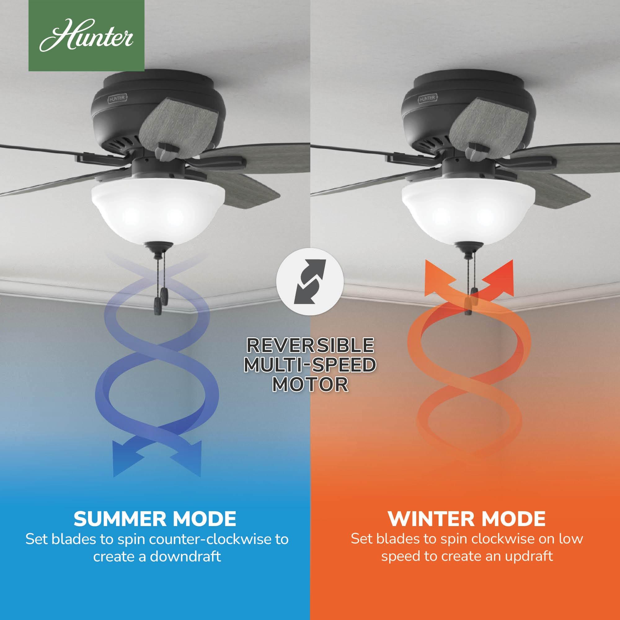 Newsome 42" 5 - Blade Traditional Flush Mount Indoor Ceiling Fan with Lights and Pull Chains