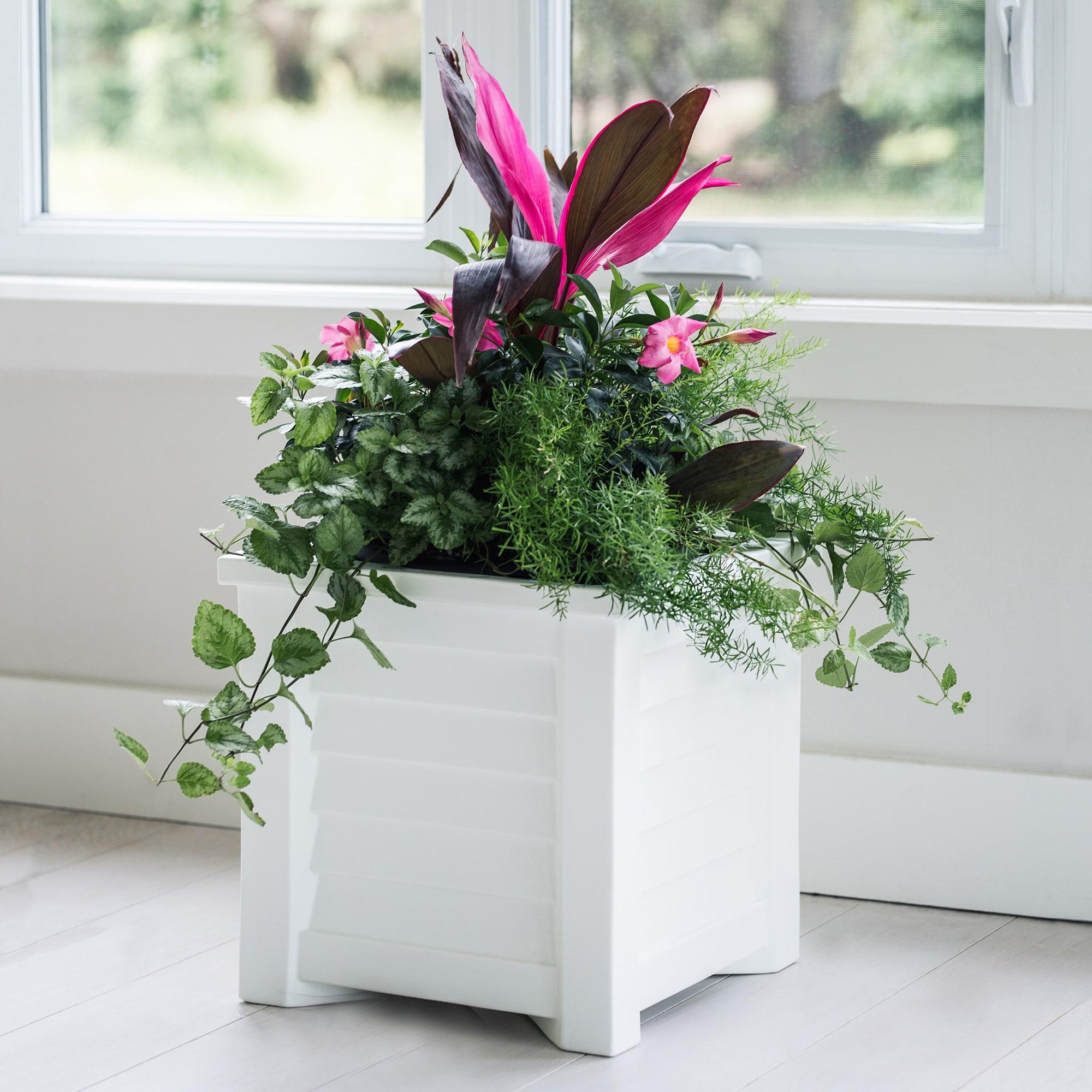 Lakeland 16" x 16" x 16" Square White Self-Watering Polyethylene Planter