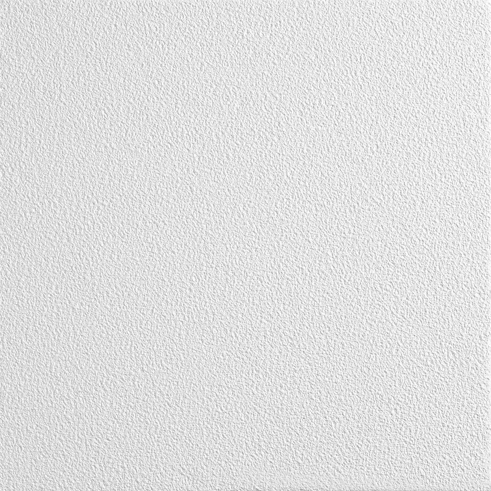 Armstrong Ceiling Tile,48 in L,24 in W,PK8 870B