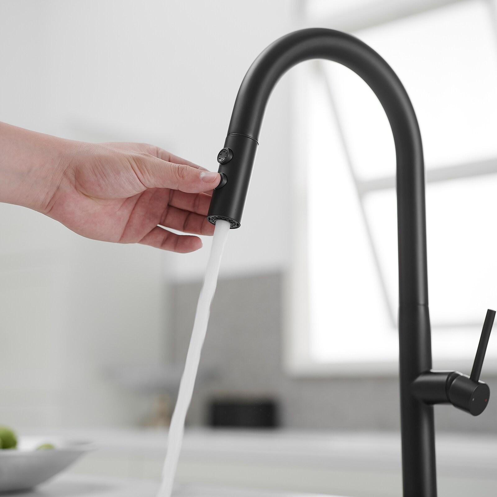 Single Handle Pull Down Sprayer Kitchen Faucet