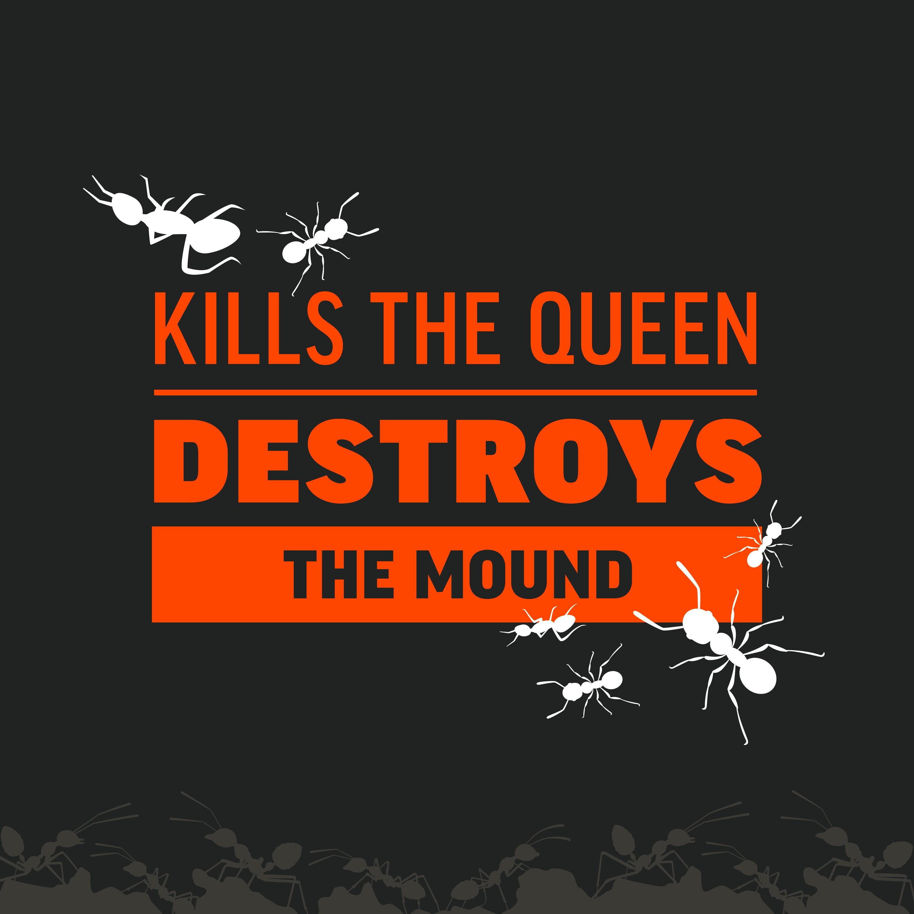 Amdro Outdoor Fire Ant Killer Bait for Mounds and Lawns, 1 lb.