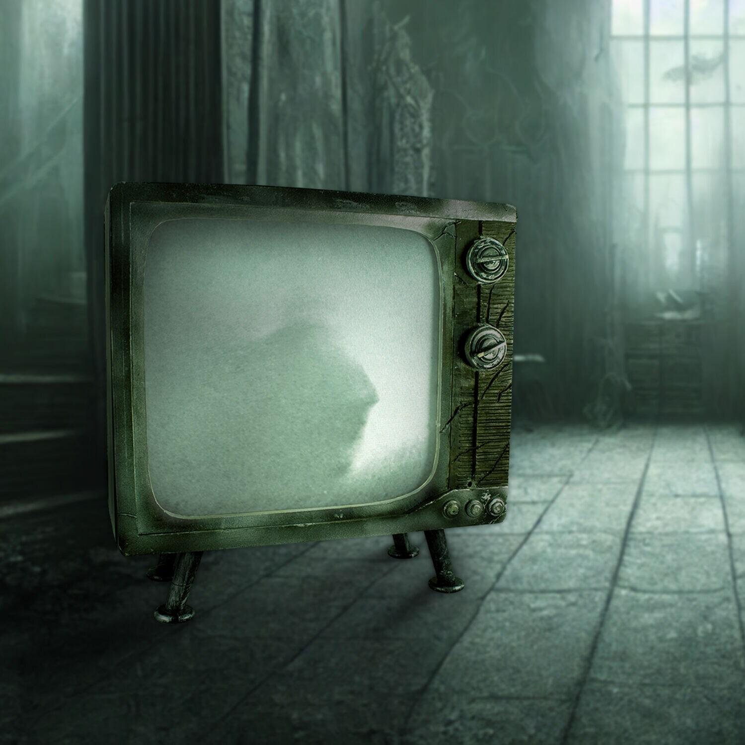 Haunted Hill Farm 11.8" H 4.7 lbs Haunted TV Animatronic White LED lights, Halloween Decor, HHHAUNTTV-1FLSA