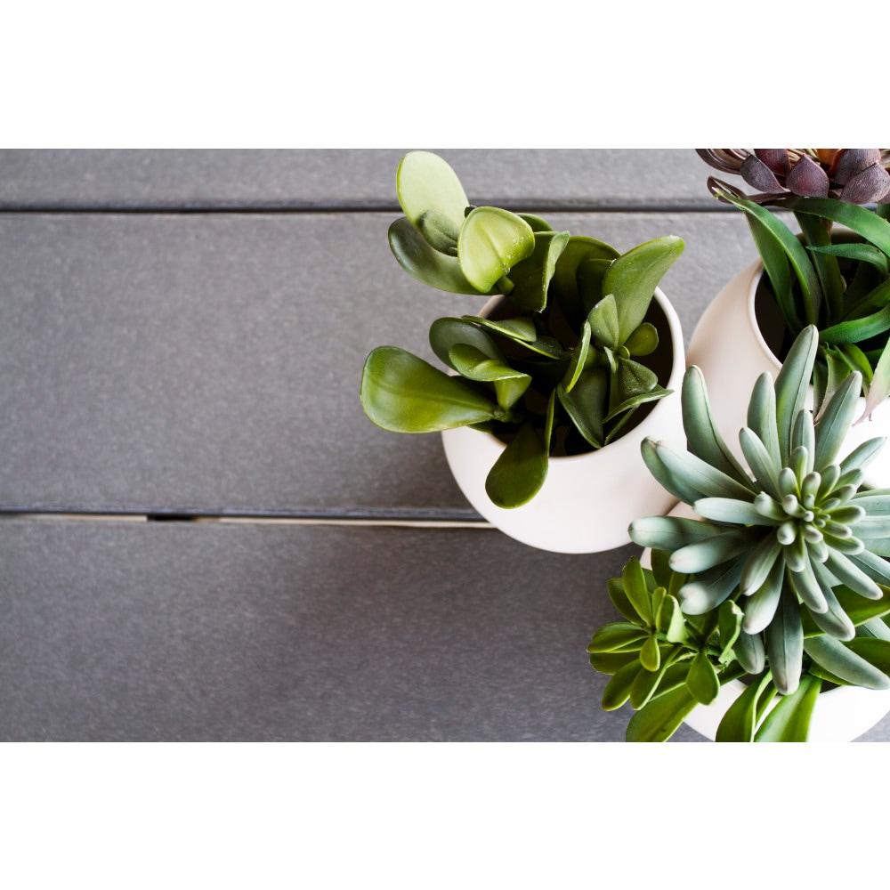 Farmhouse Trestle 37.75" x 72.25" Dining Table