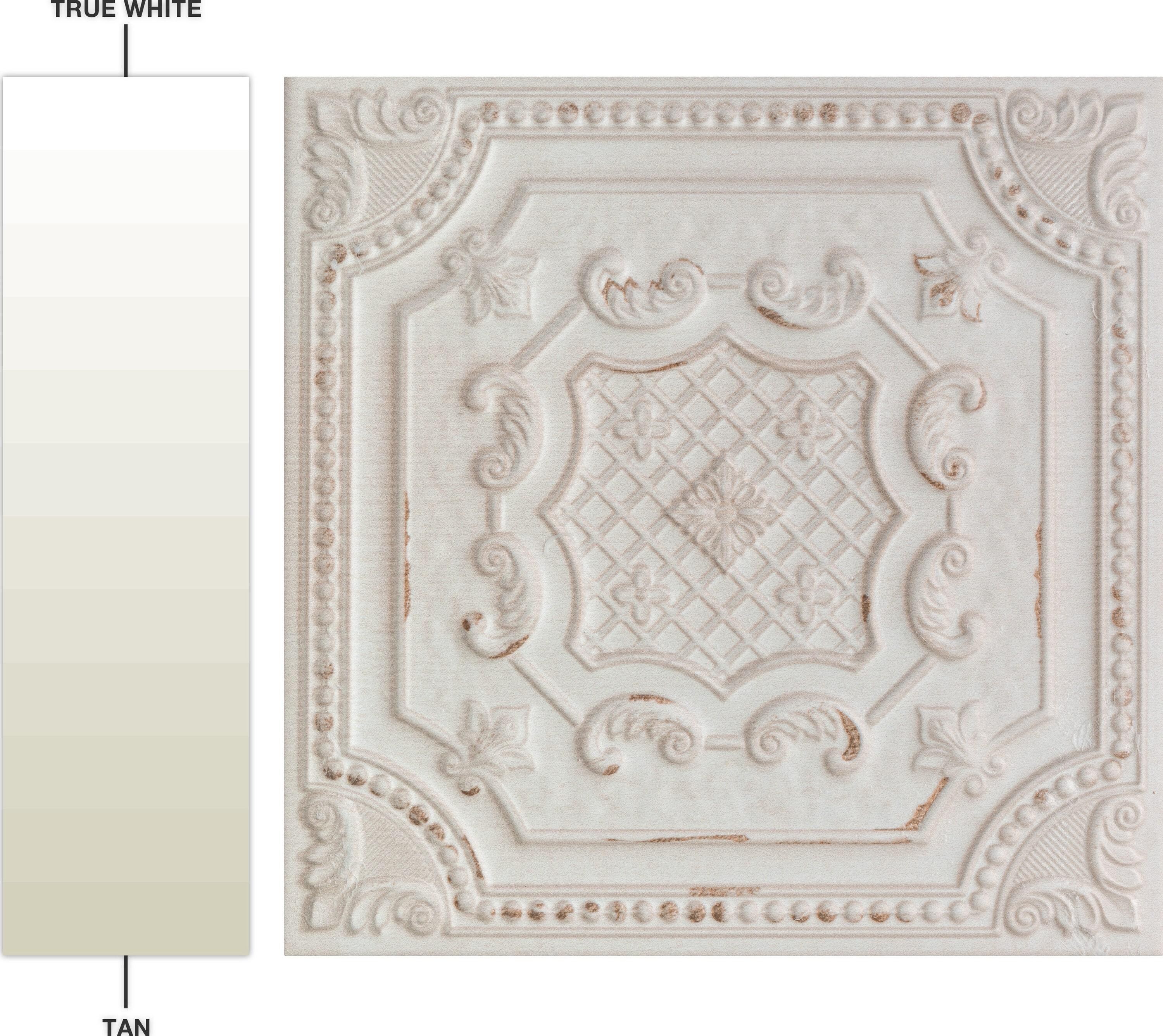 Fitz 8" x 8" Ceramic Patterned Wall Tile