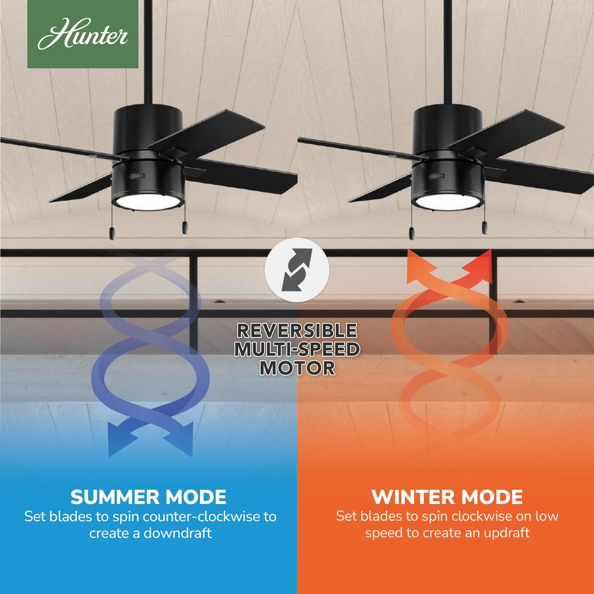 Hunter Fan 42" Beck 4 - Blade Standard Ceiling Fan with Pull Chain and Light Kit Included