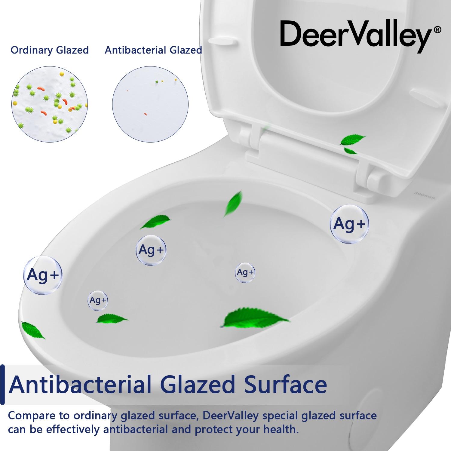 DeerValley Symmetry Dual Flush Elongated One-Piece Toilet Standard Toilet with Comfort Seat Height