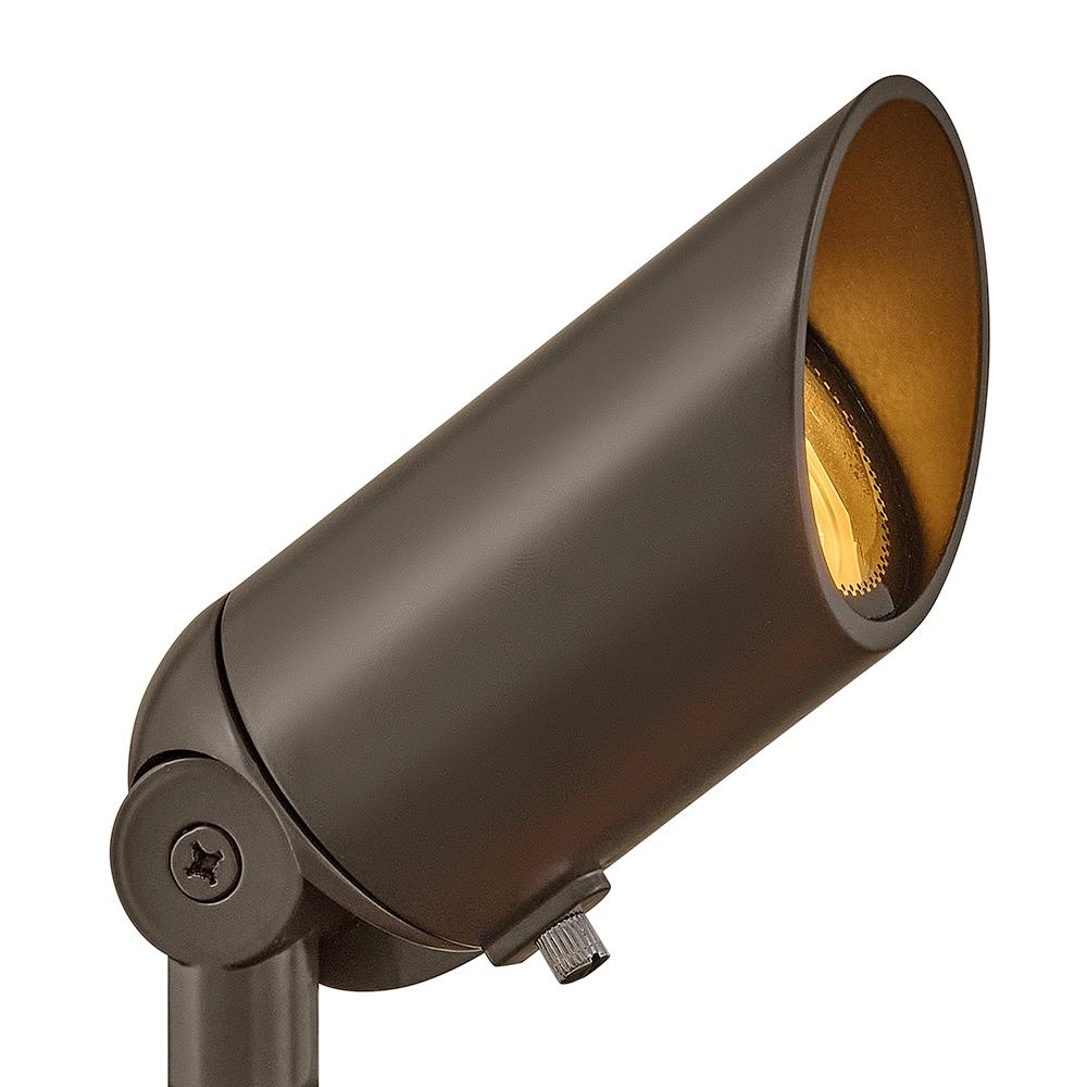 Bronze Low Voltage LED Outdoor Spot Light with Clear Lens