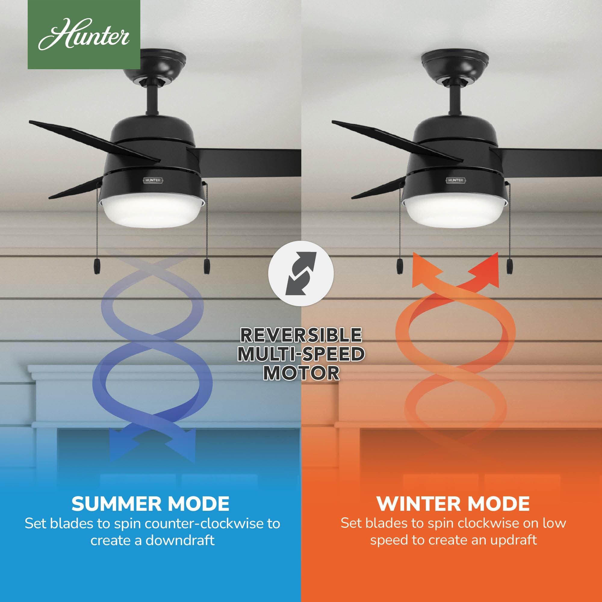 Aker 36" 3 - Blade Standard Ceiling Fan with Lights and Pull Chains