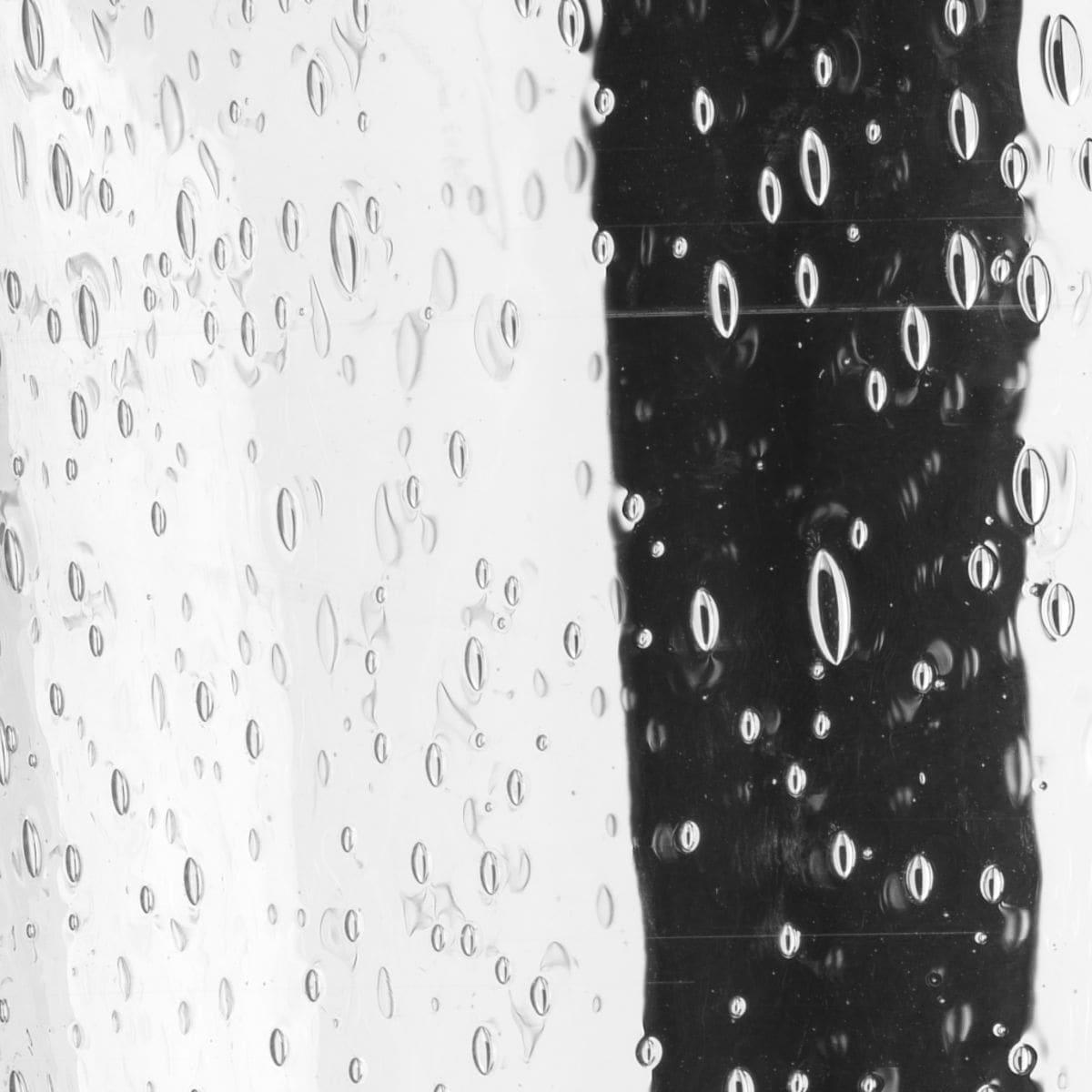 Progress Lighting East Haven 1-Light LED Outdoor Wall Lantern, Antique Bronze, Seeded Glass Shade