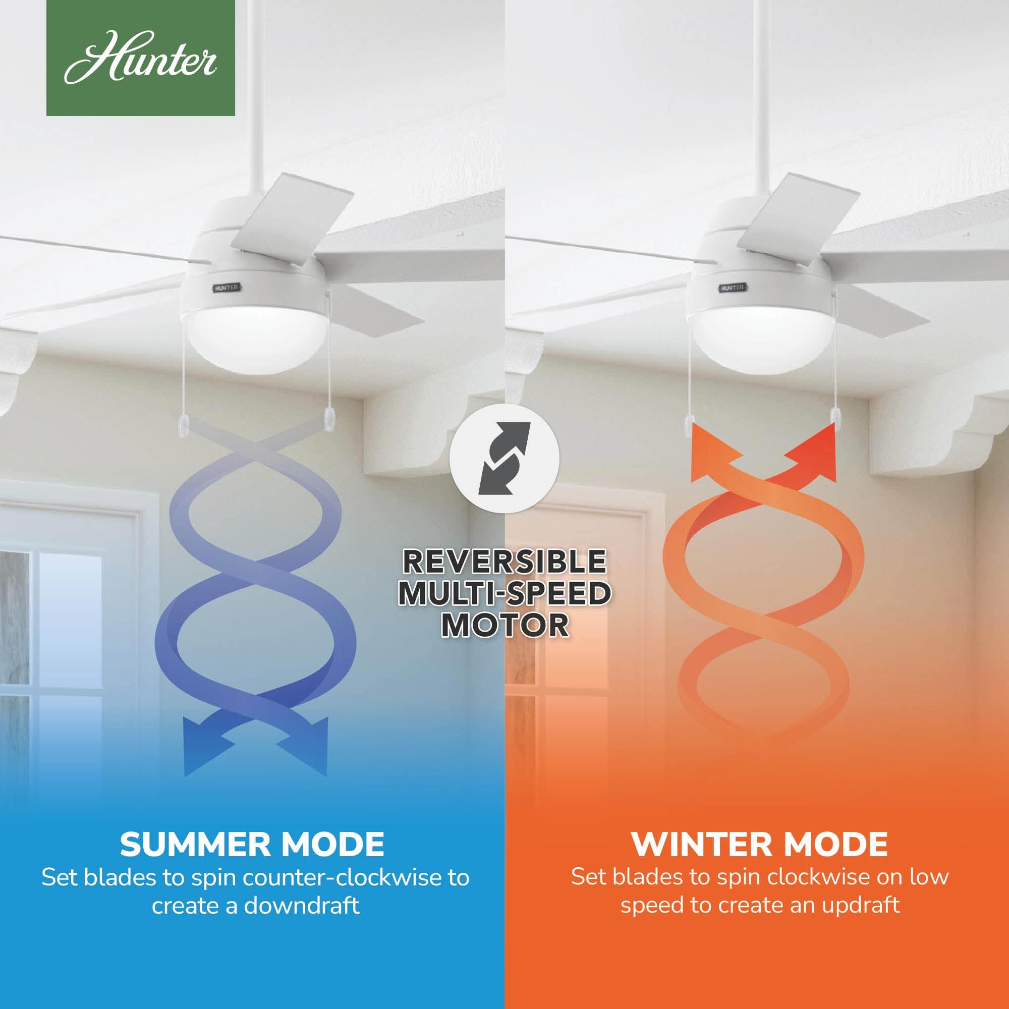 46" Anslee Standard Ceiling Fan with Pull Chain and Light Kit Included