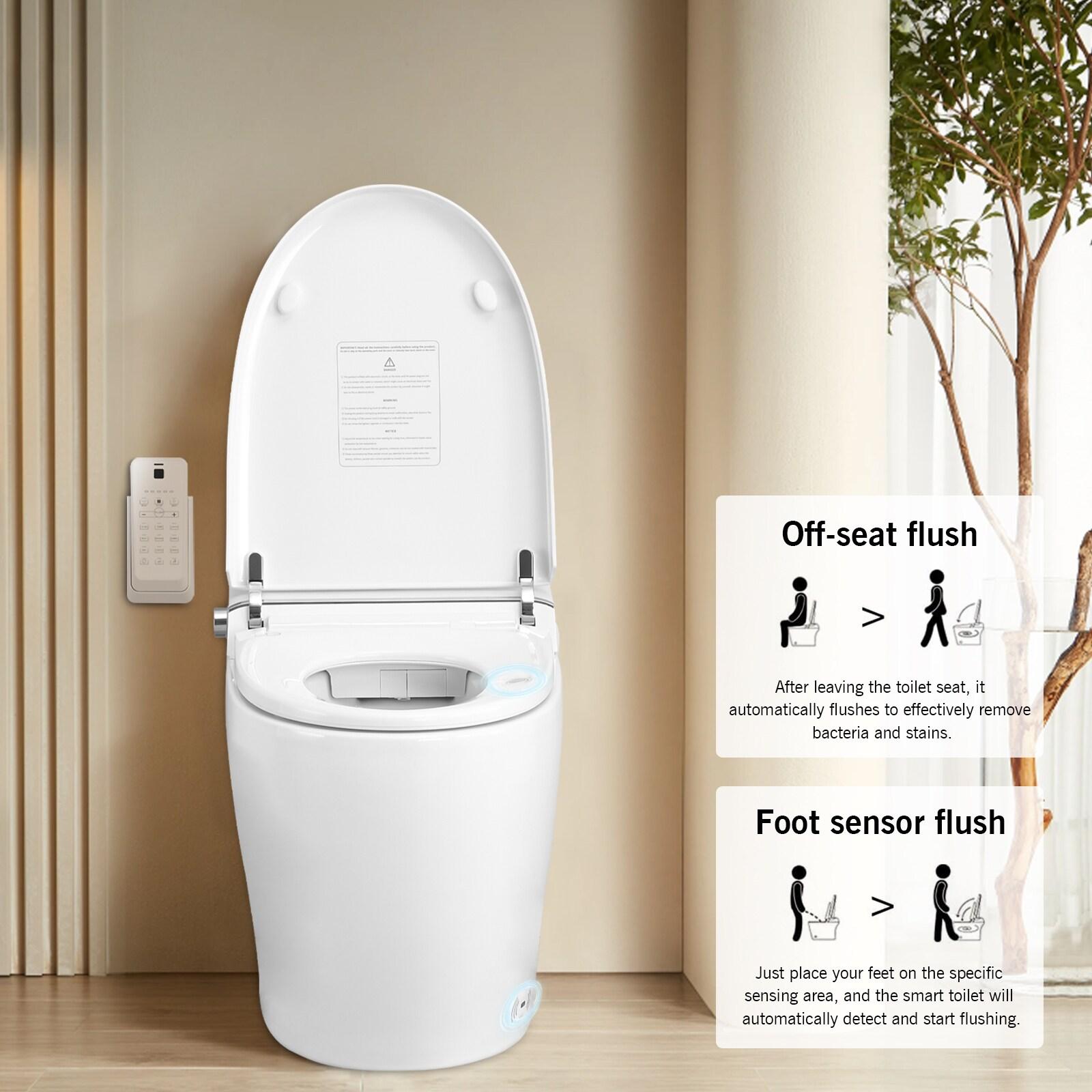 VIBRANTBATH 1.1 Gallons GPF Elongated Bidet Toilet (Seat Included)