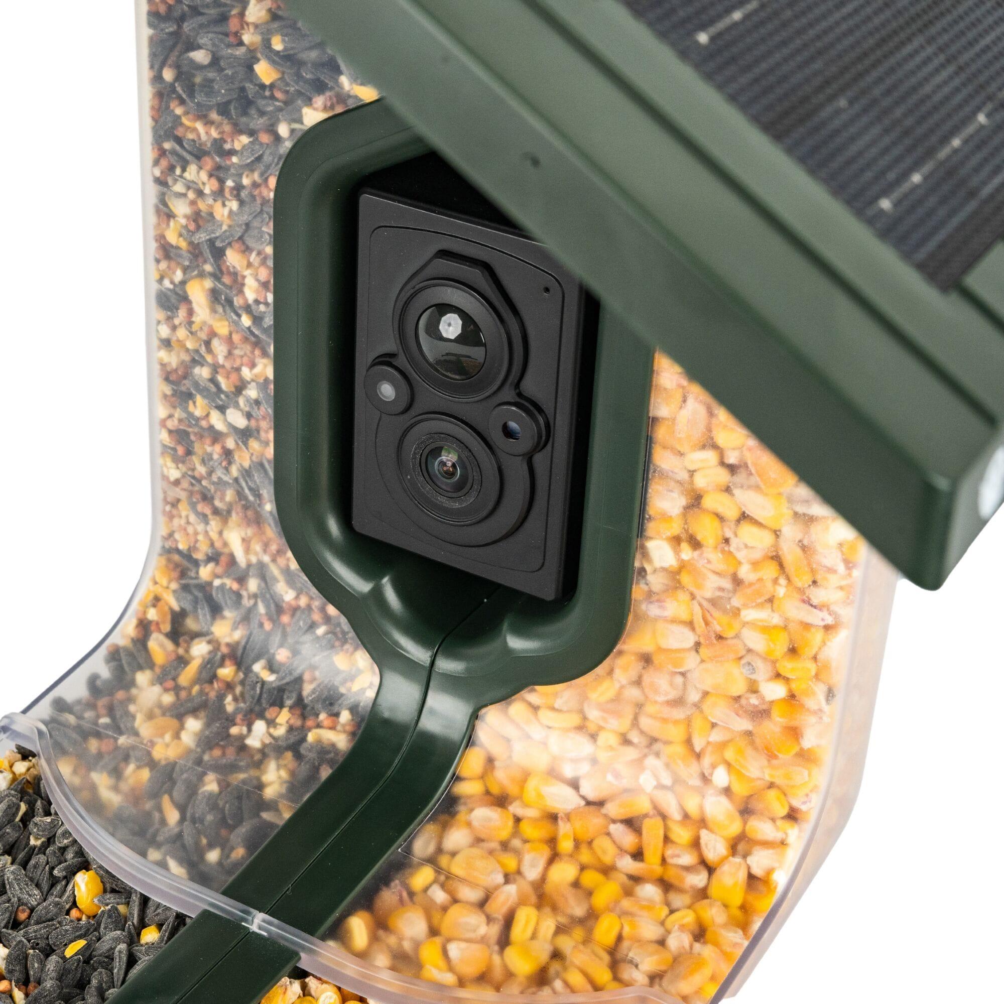 Feathersnap Scout WiFi Solar-Powered Smart Bird Feeder