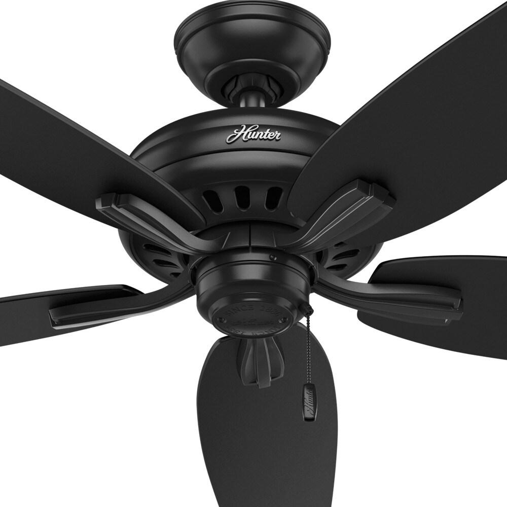 52" Newsome 5 - Blade Outdoor Standard Ceiling Fan with Pull Chain
