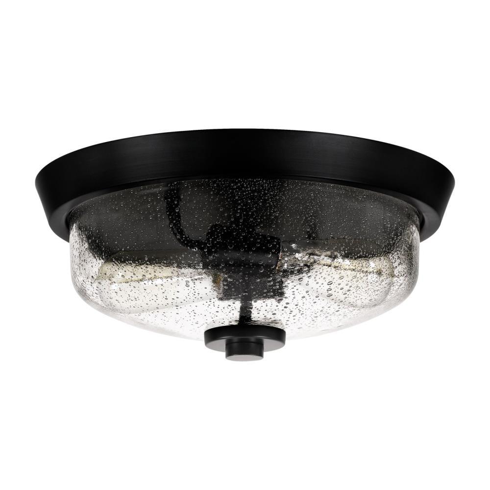 Quoizel Lighting Radius 2 - Light Flush Mount in  Earth Black