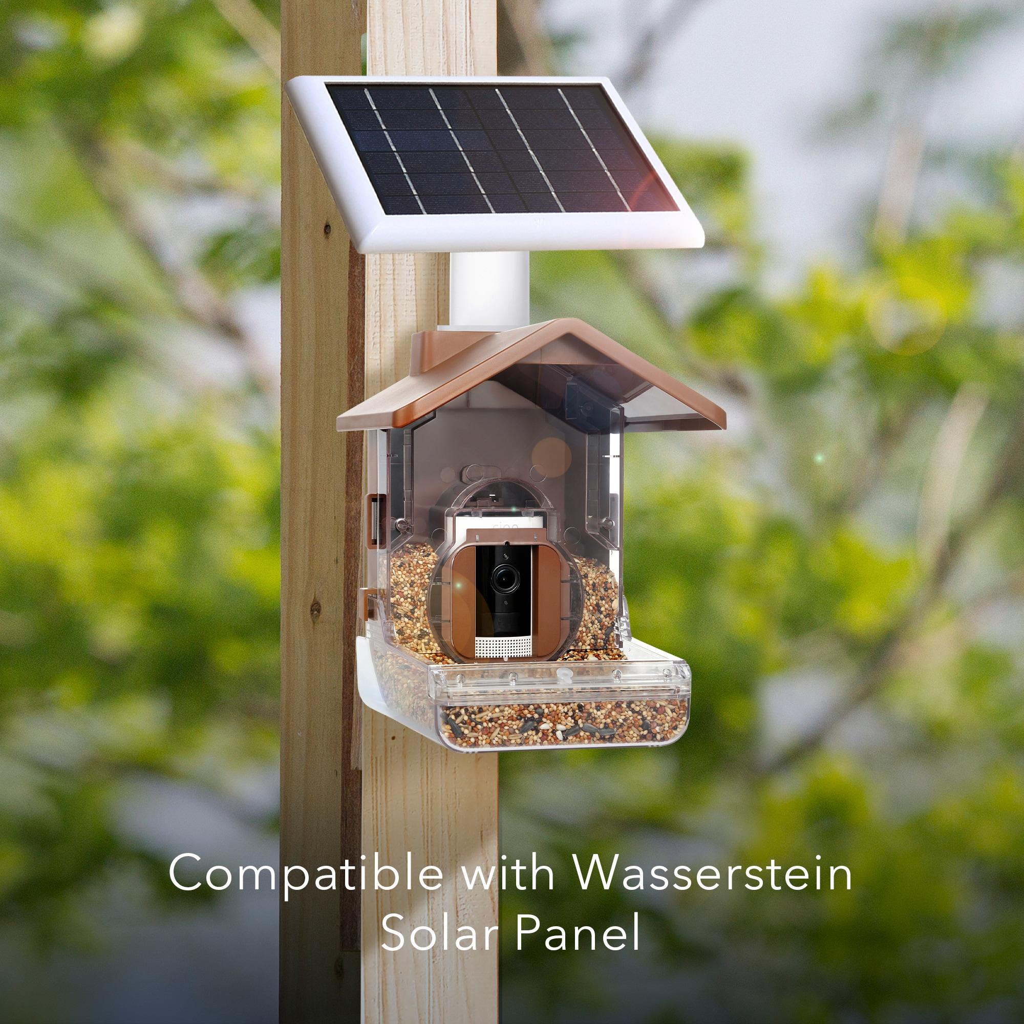 Wasserstein Bird Feeder Camera Case Compatible with Blink, Wyze, and Ring Cam - Bird Feeder for Bird Watching with Your Security Cam - (Camera NOT Included)