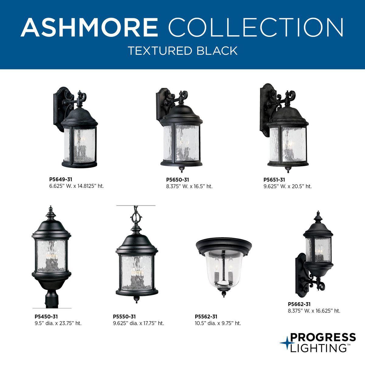 Progress Lighting Ashmore 3-Light Outdoor Wall Lantern in Antique Bronze with Shade