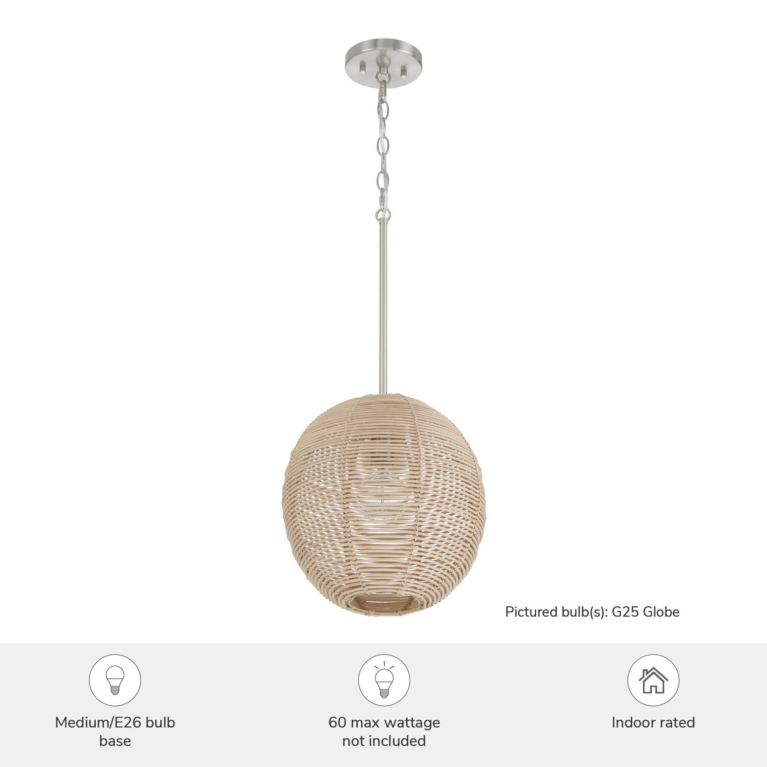 Hunter Berkeley 1 Light Medium Pendant Ceiling Light Fixture