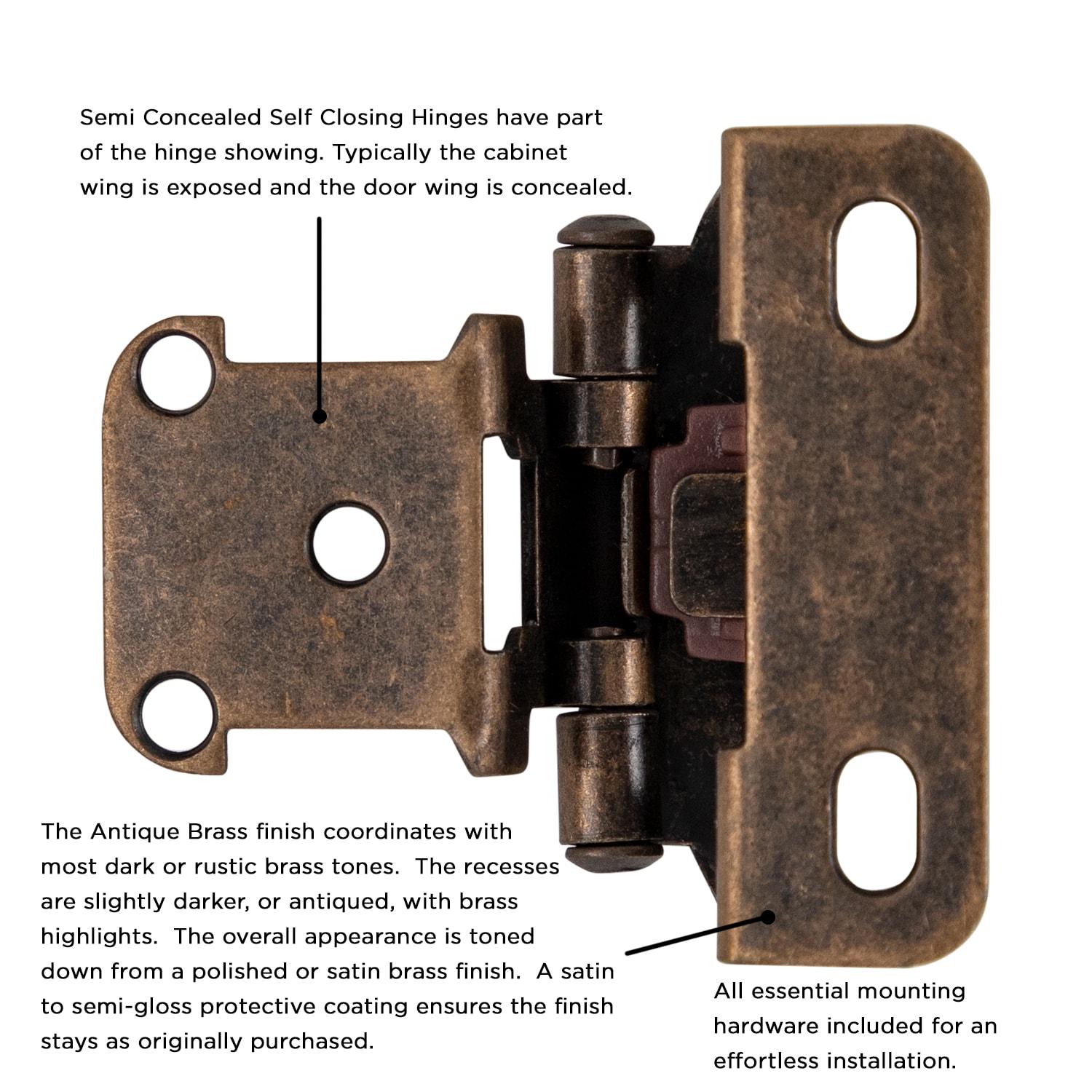 Wrap Around Pair Door Hinges